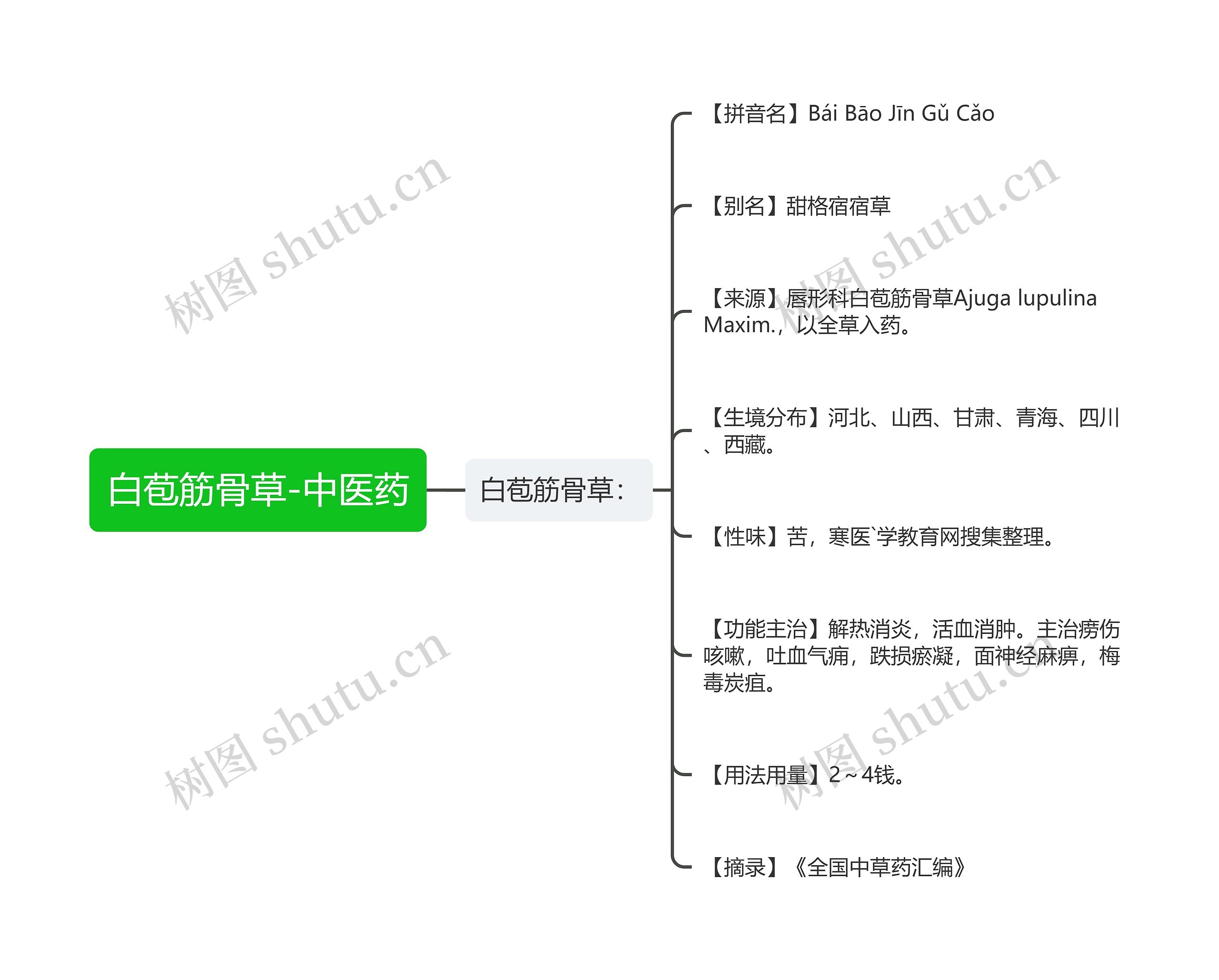 白苞筋骨草-中医药思维导图