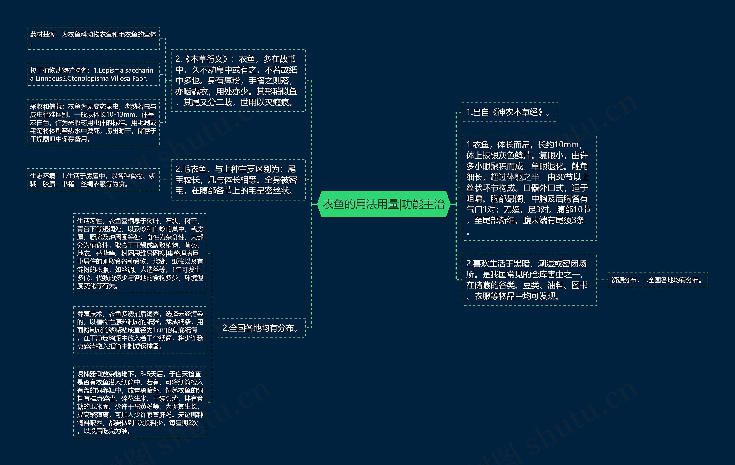 衣鱼的用法用量|功能主治思维导图