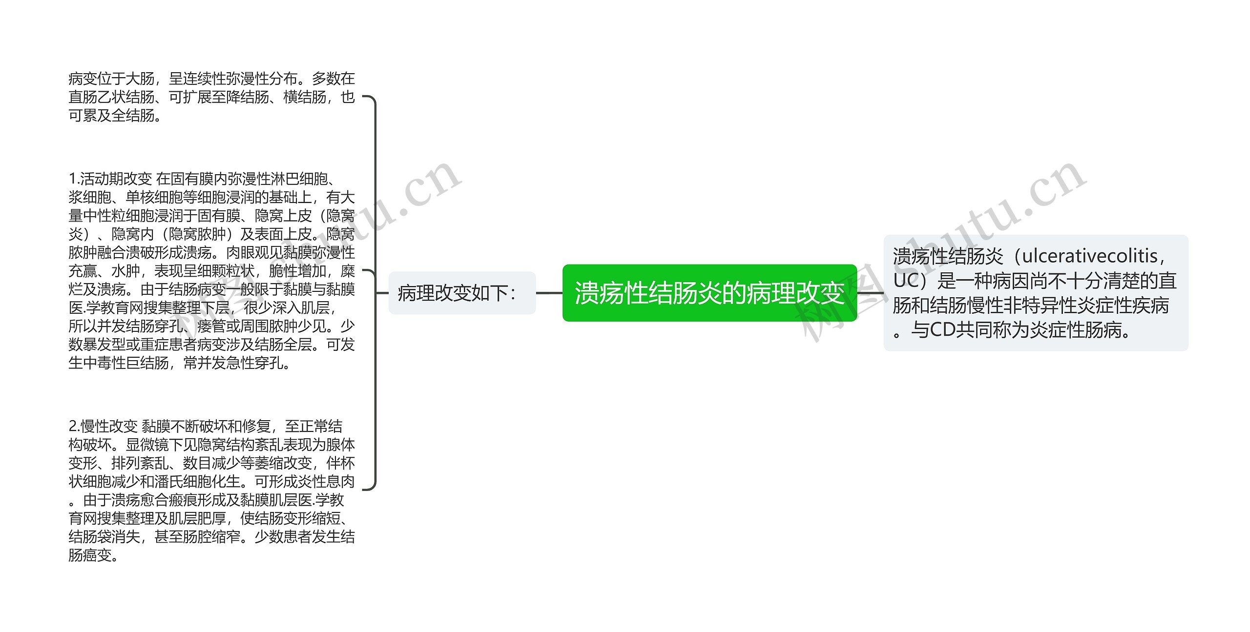 溃疡性结肠炎的病理改变思维导图