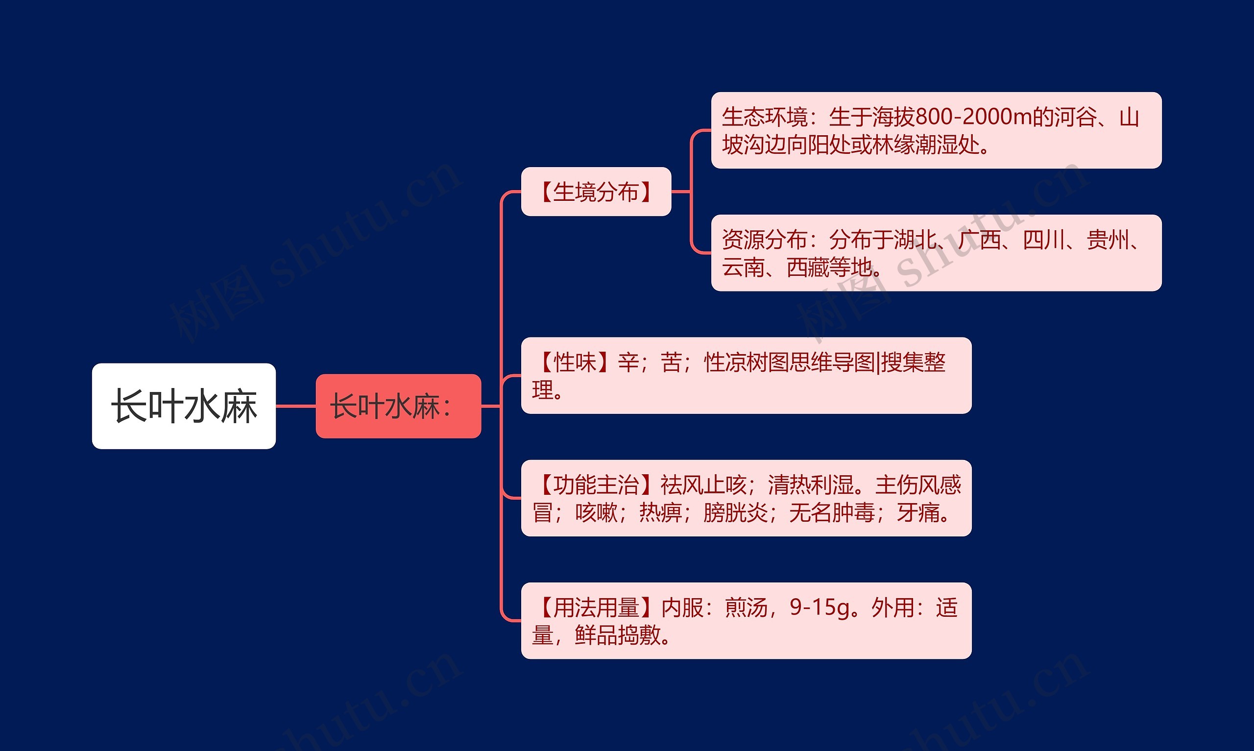 长叶水麻思维导图