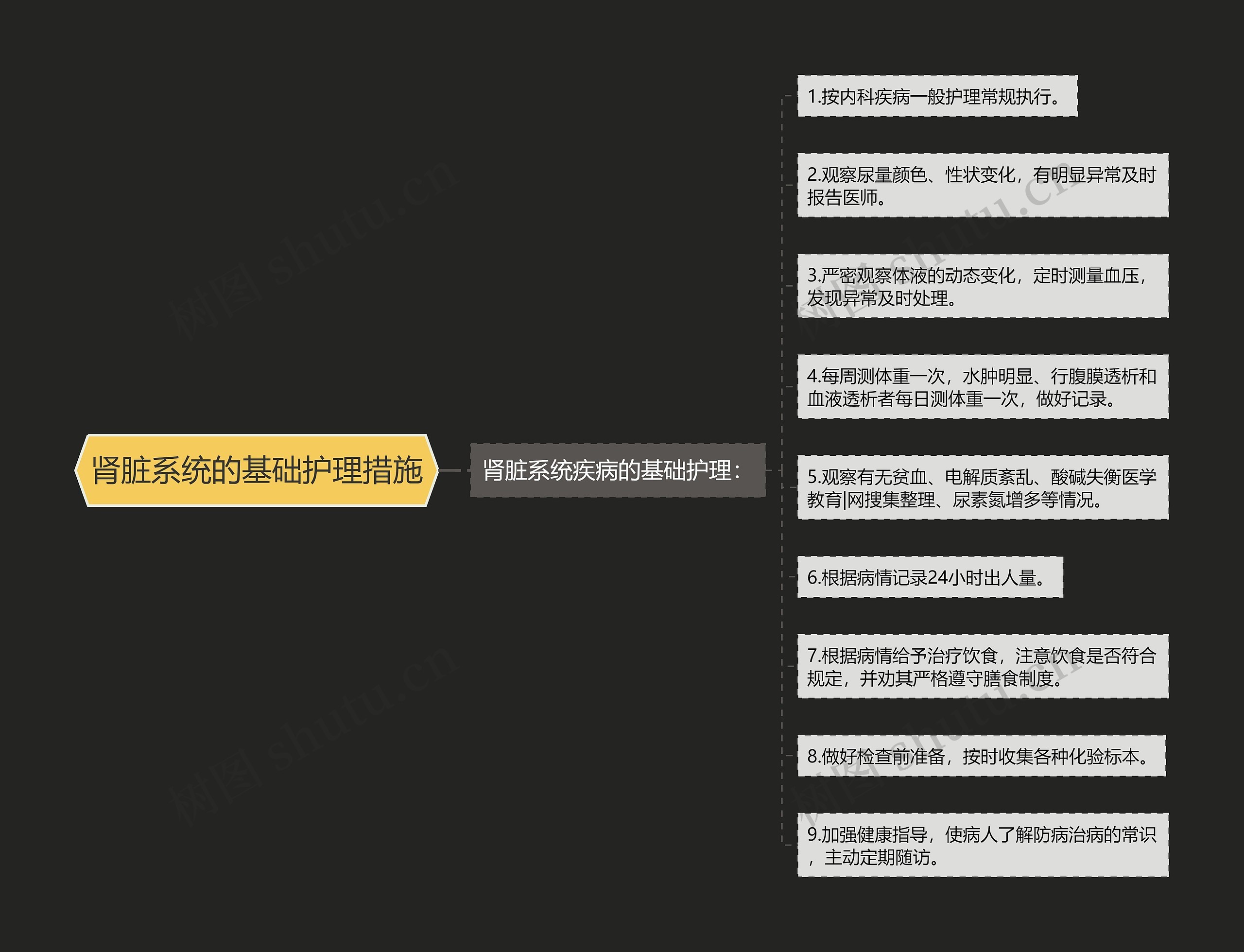 肾脏系统的基础护理措施思维导图