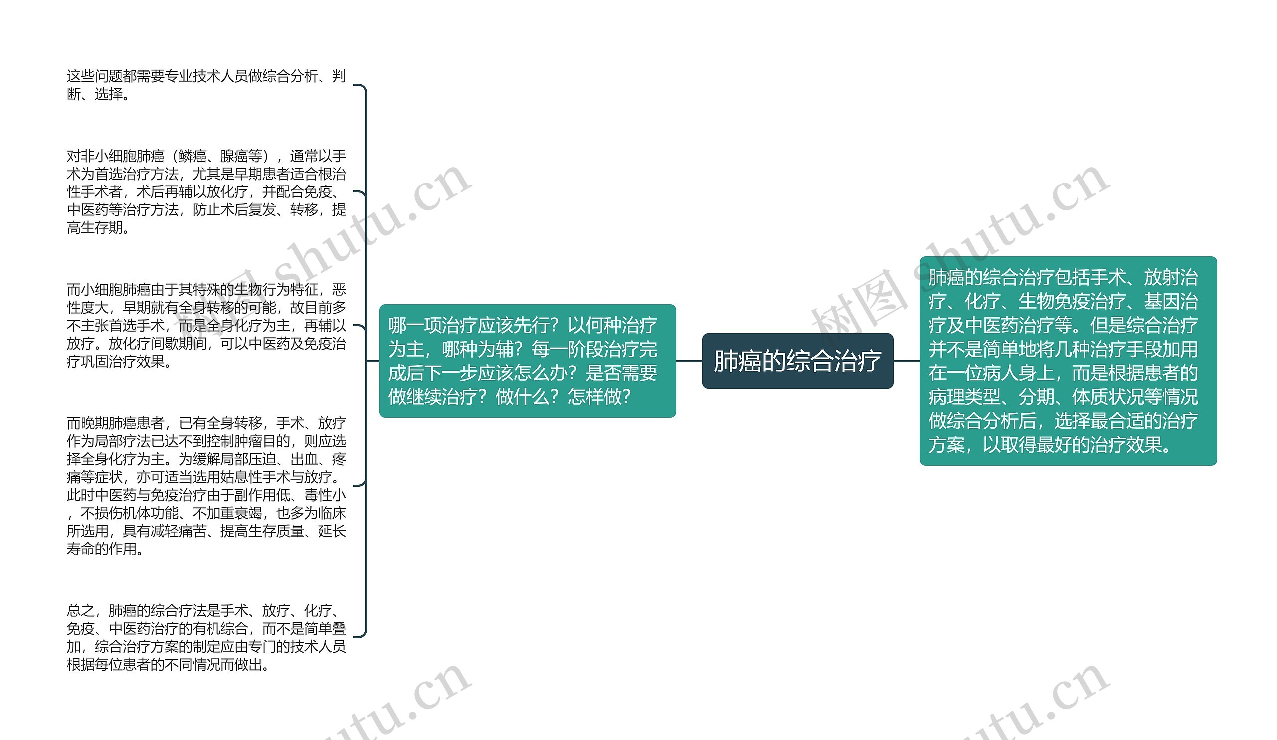 肺癌的综合治疗思维导图