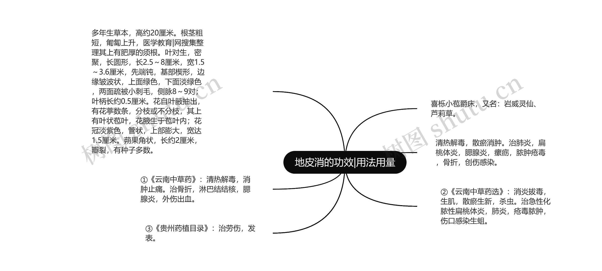 地皮消的功效|用法用量