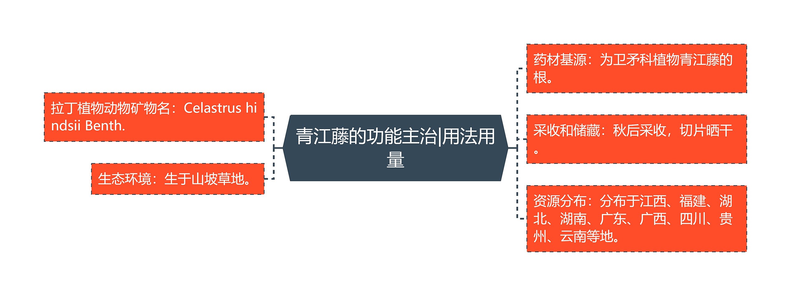 青江藤的功能主治|用法用量