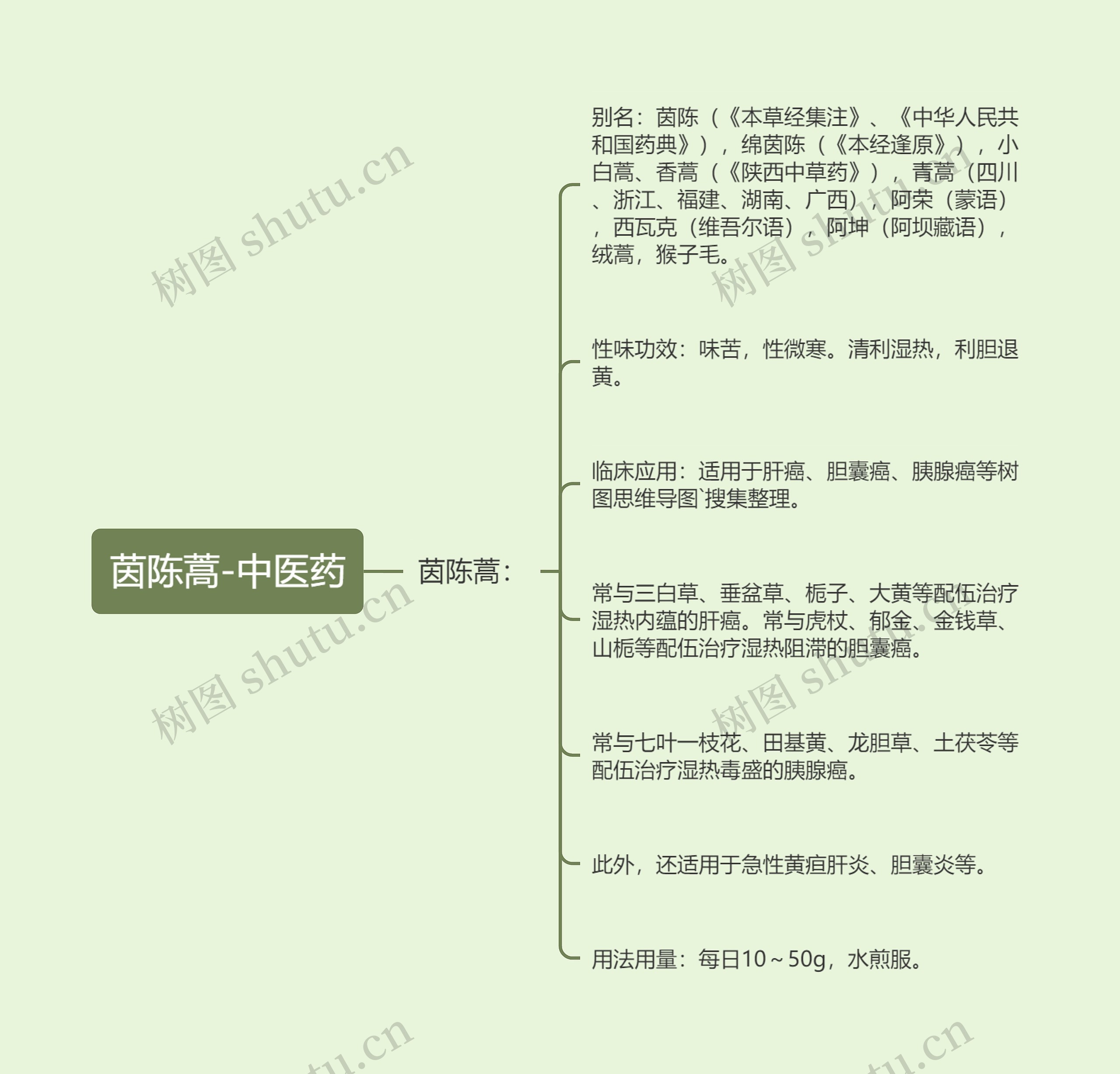 茵陈蒿-中医药 茵陈蒿-中医药