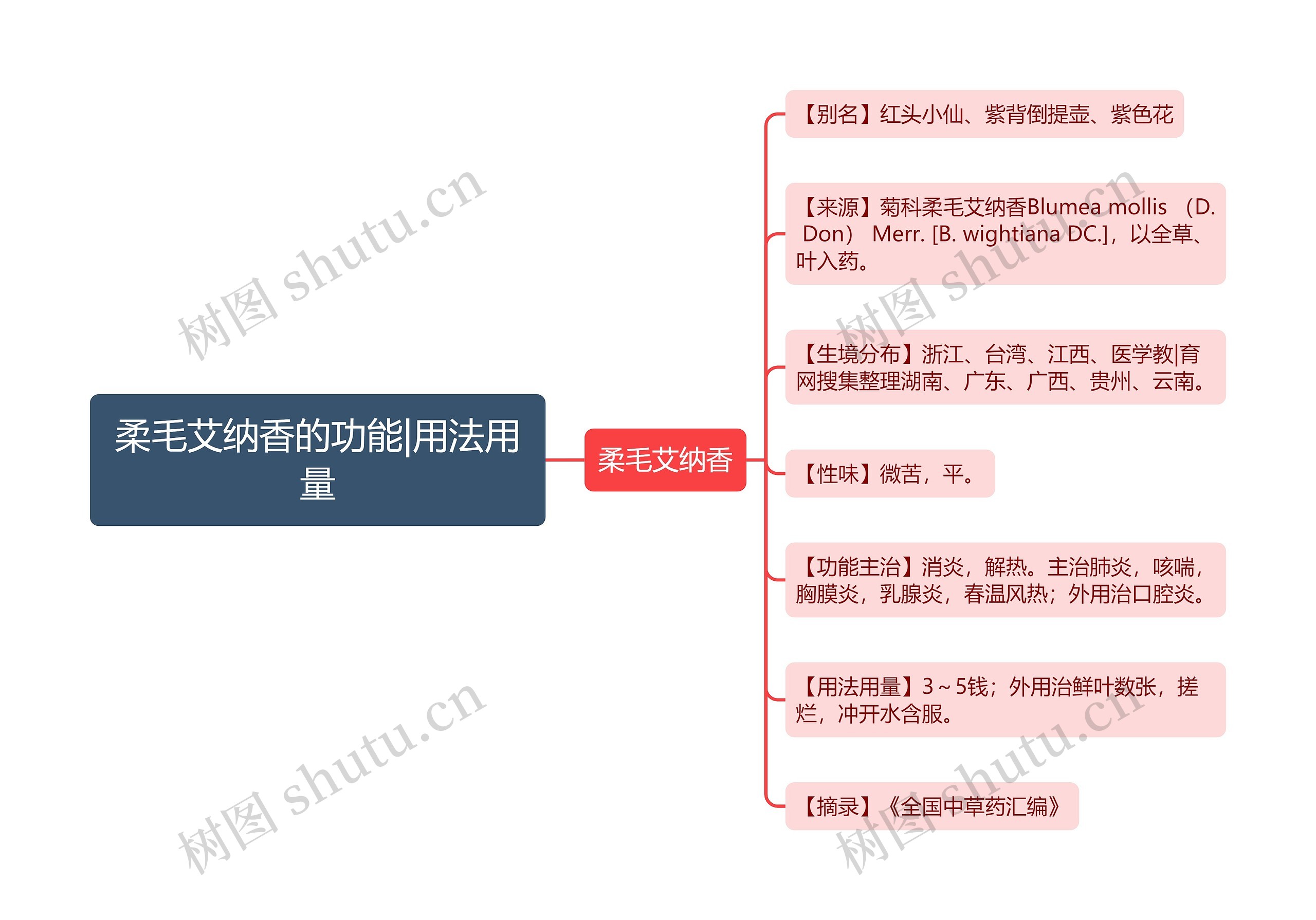 柔毛艾纳香的功能|用法用量思维导图