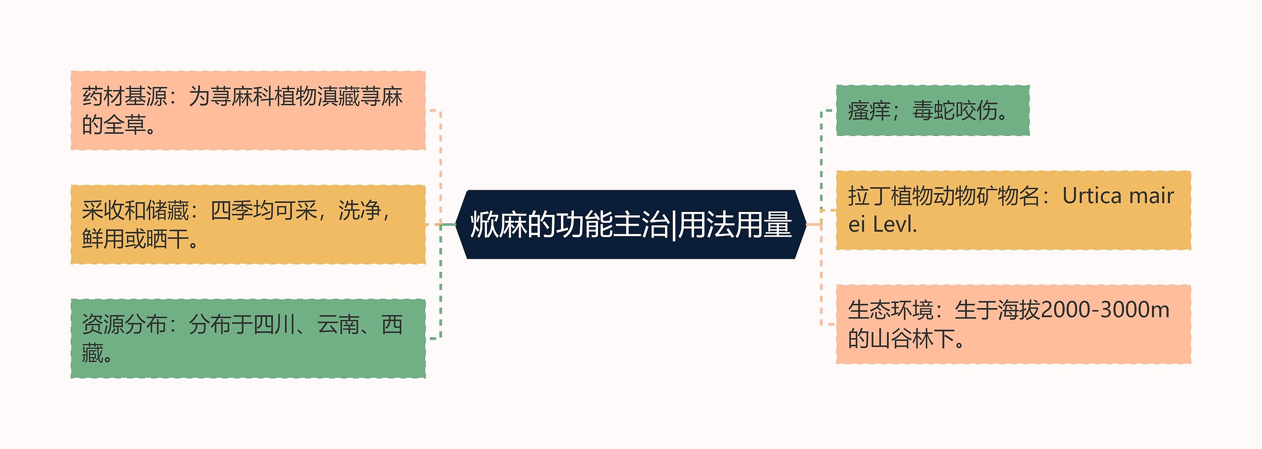 焮麻的功能主治|用法用量思维导图