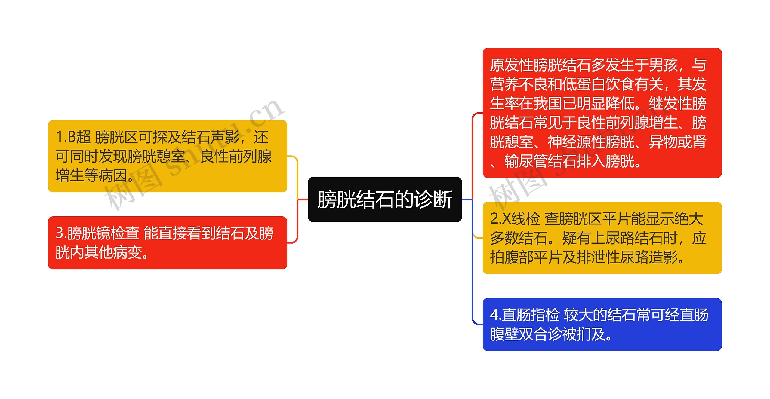 膀胱结石的诊断