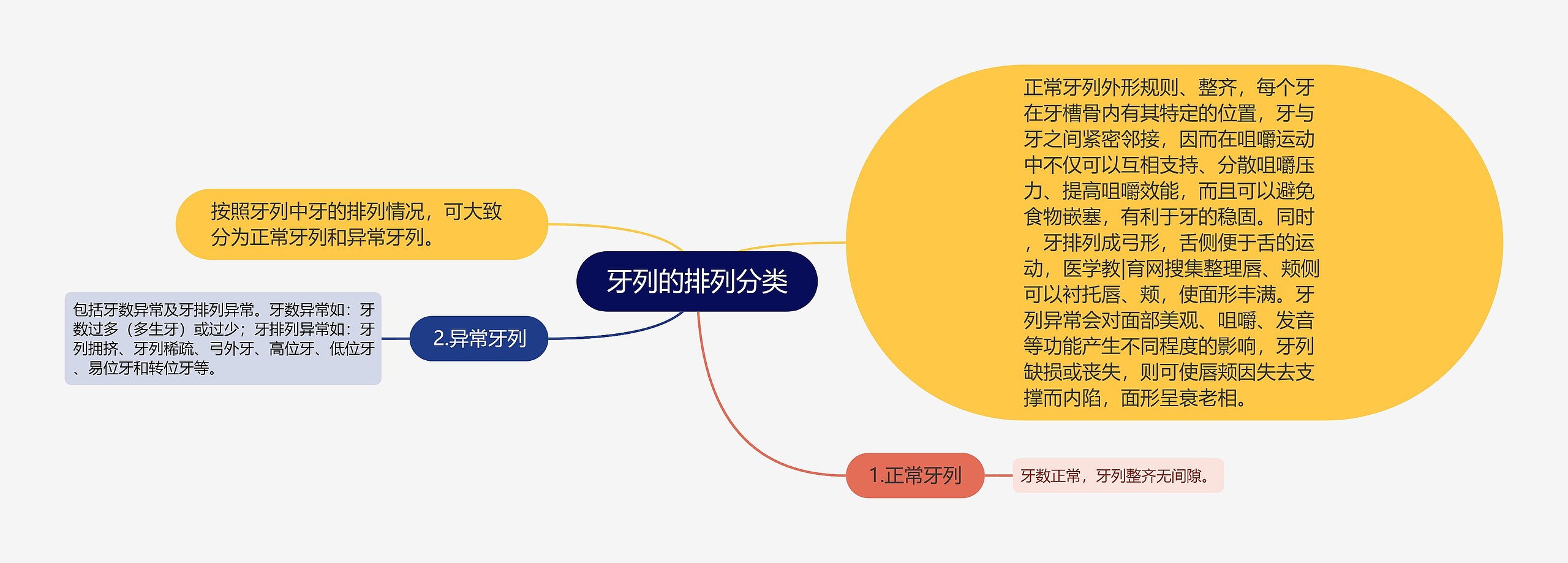 牙列的排列分类 牙列的排列分类