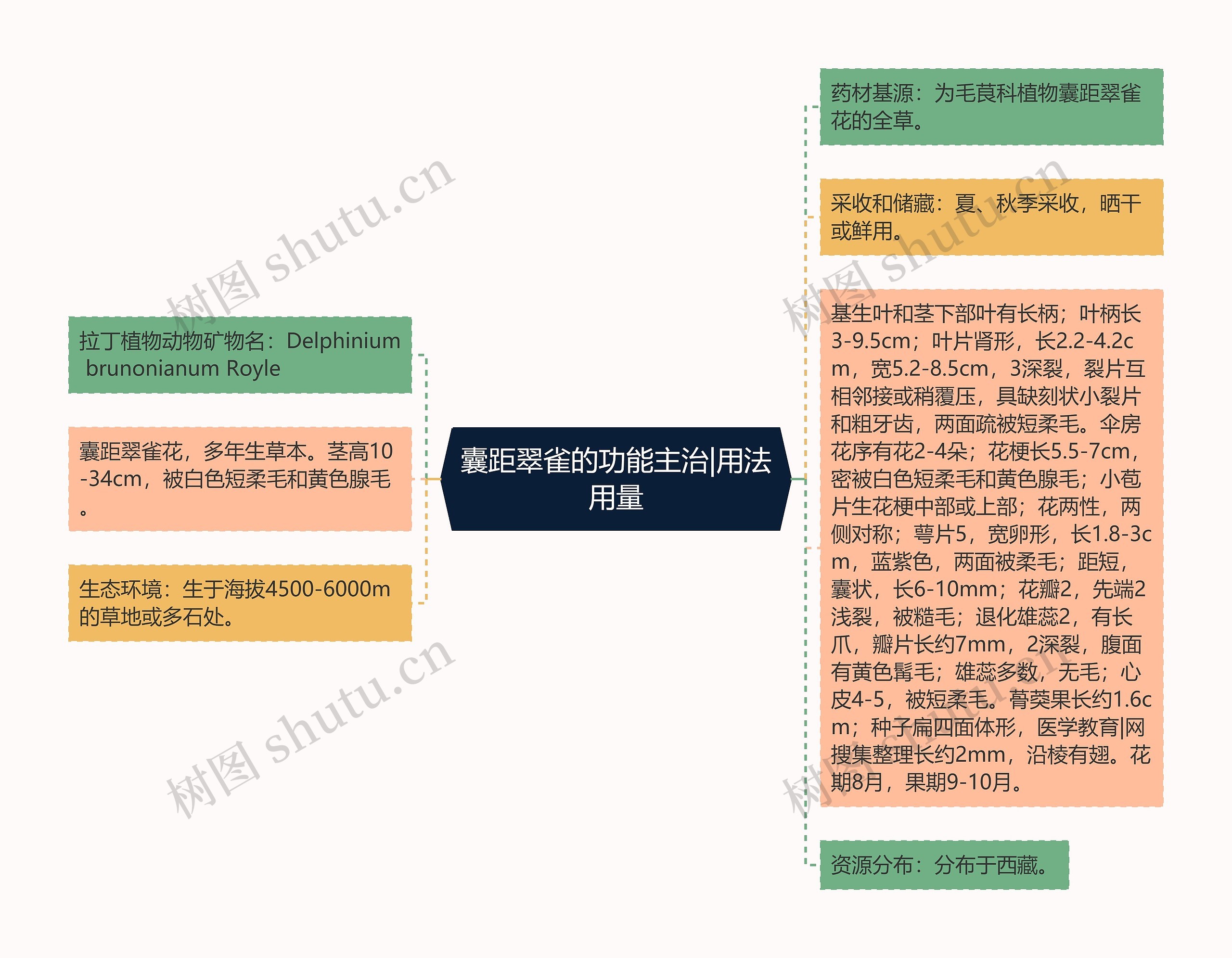 囊距翠雀的功能主治|用法用量