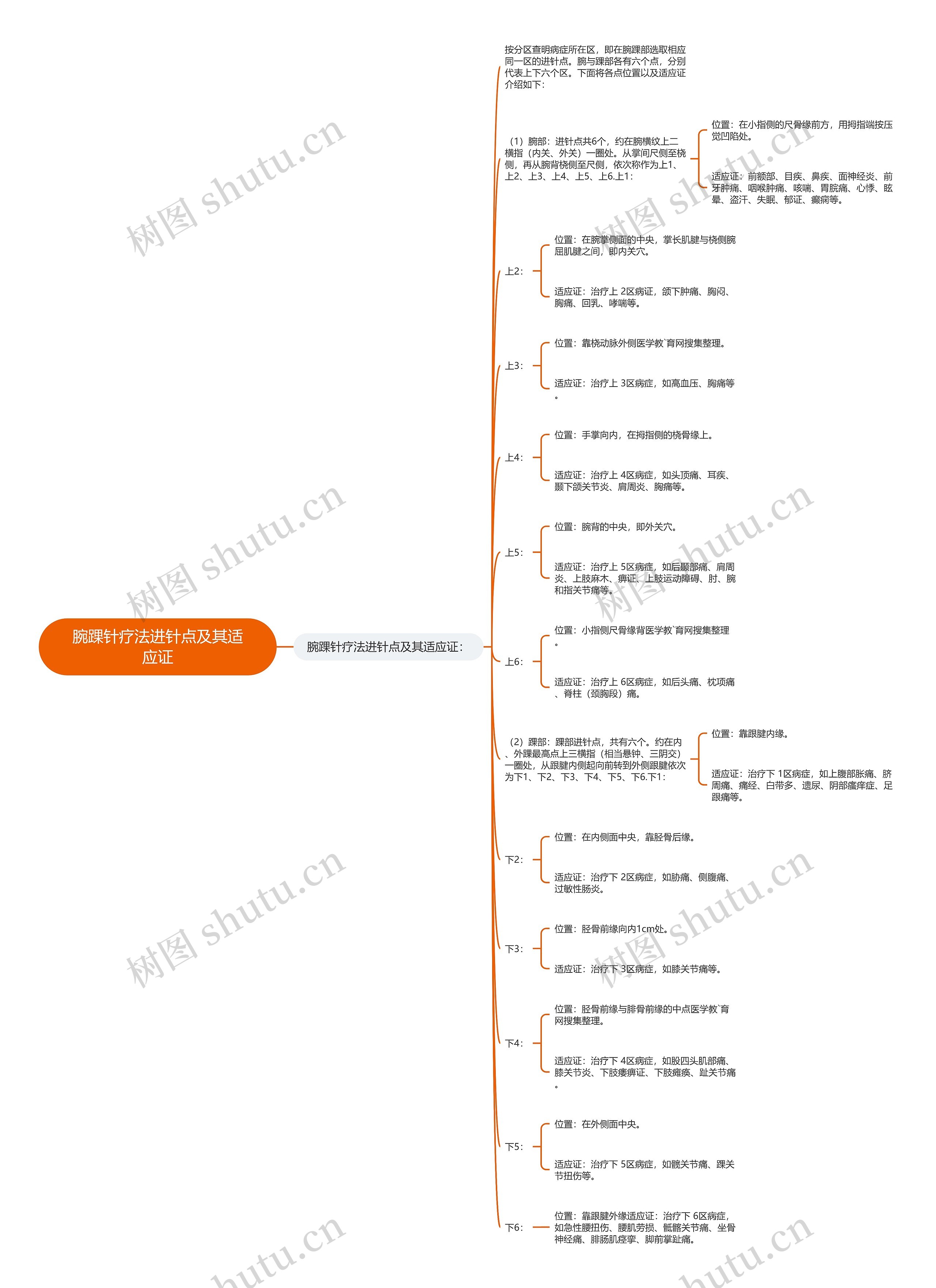 腕踝针疗法进针点及其适应证思维导图