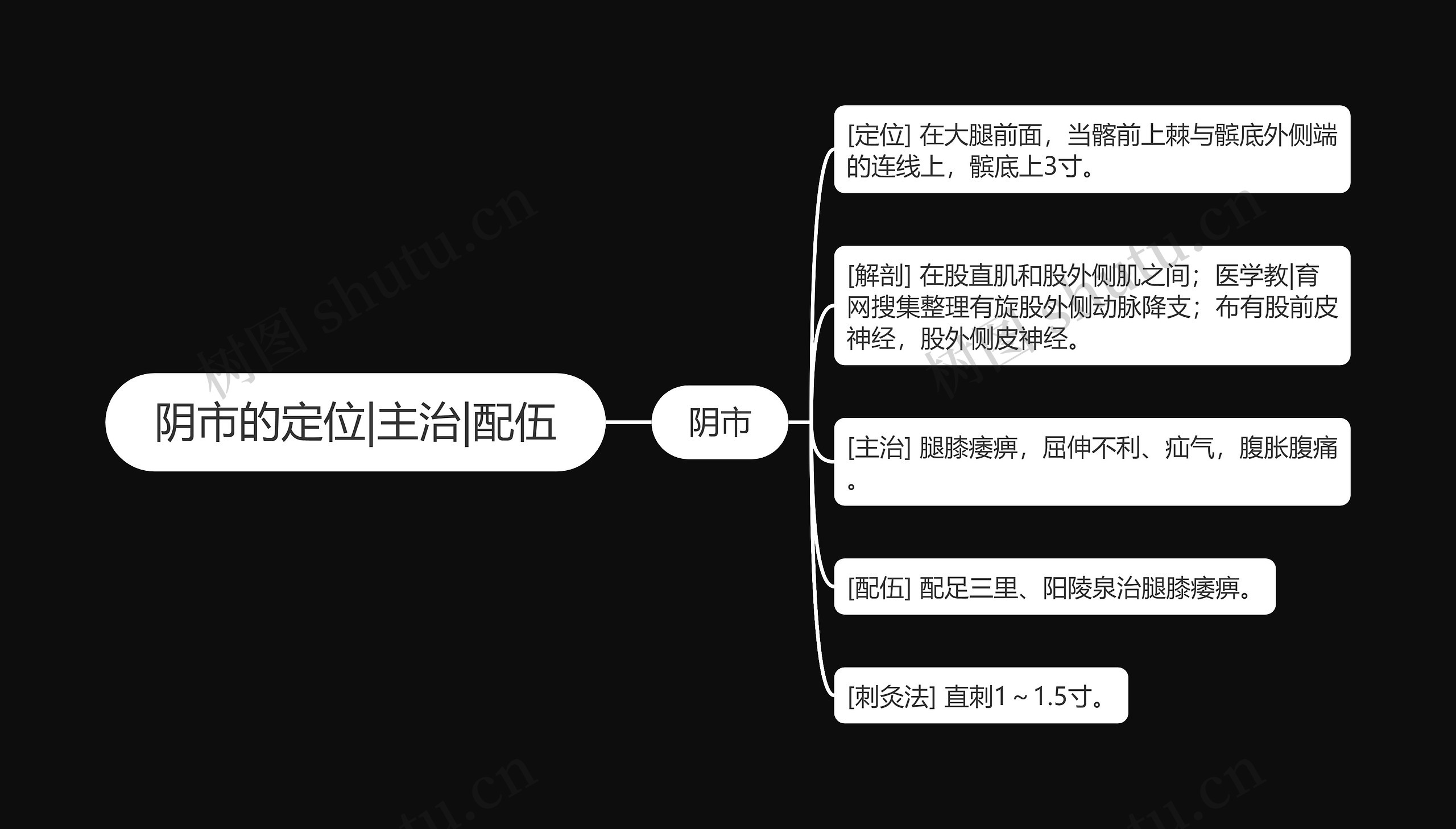 阴市的定位|主治|配伍