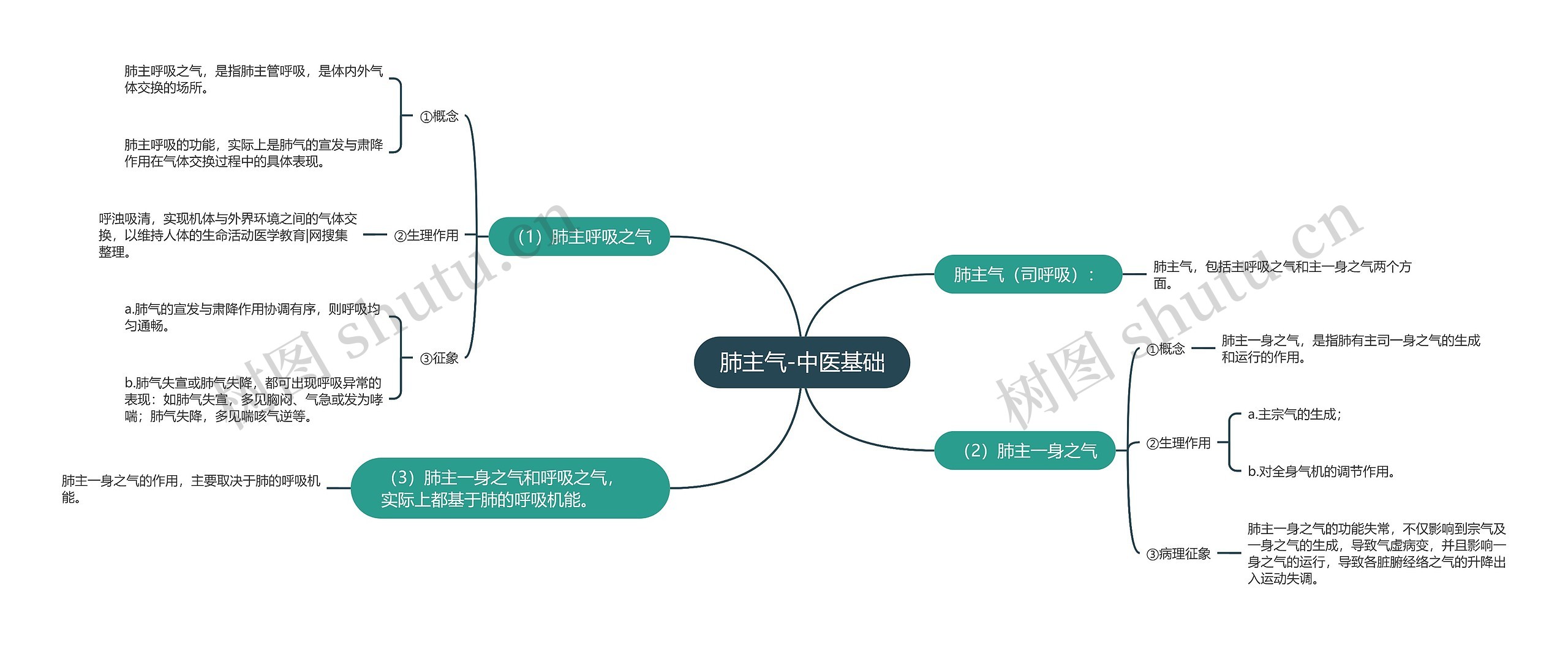 肺主气-中医基础思维导图