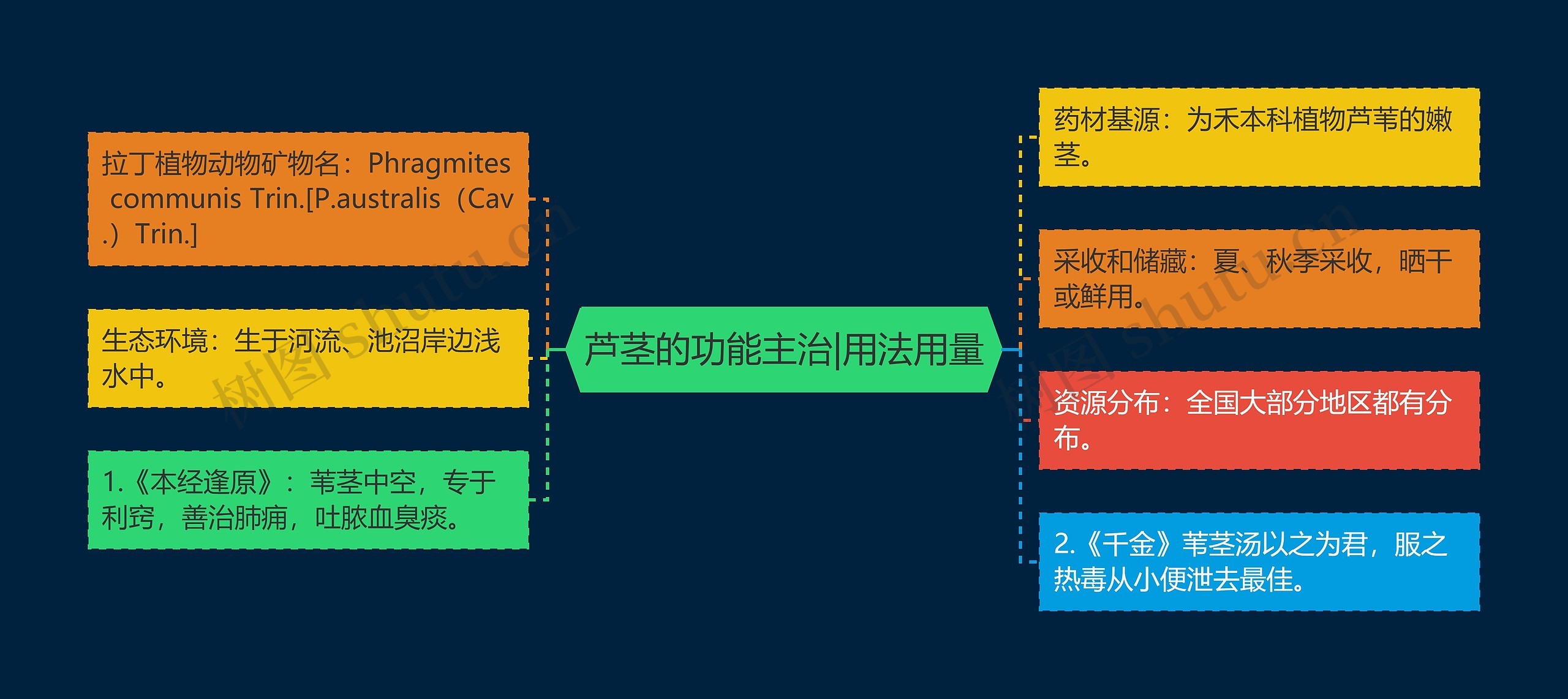 芦茎的功能主治|用法用量