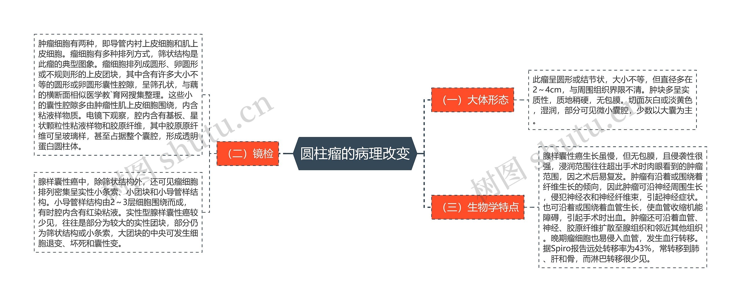 圆柱瘤的病理改变思维导图