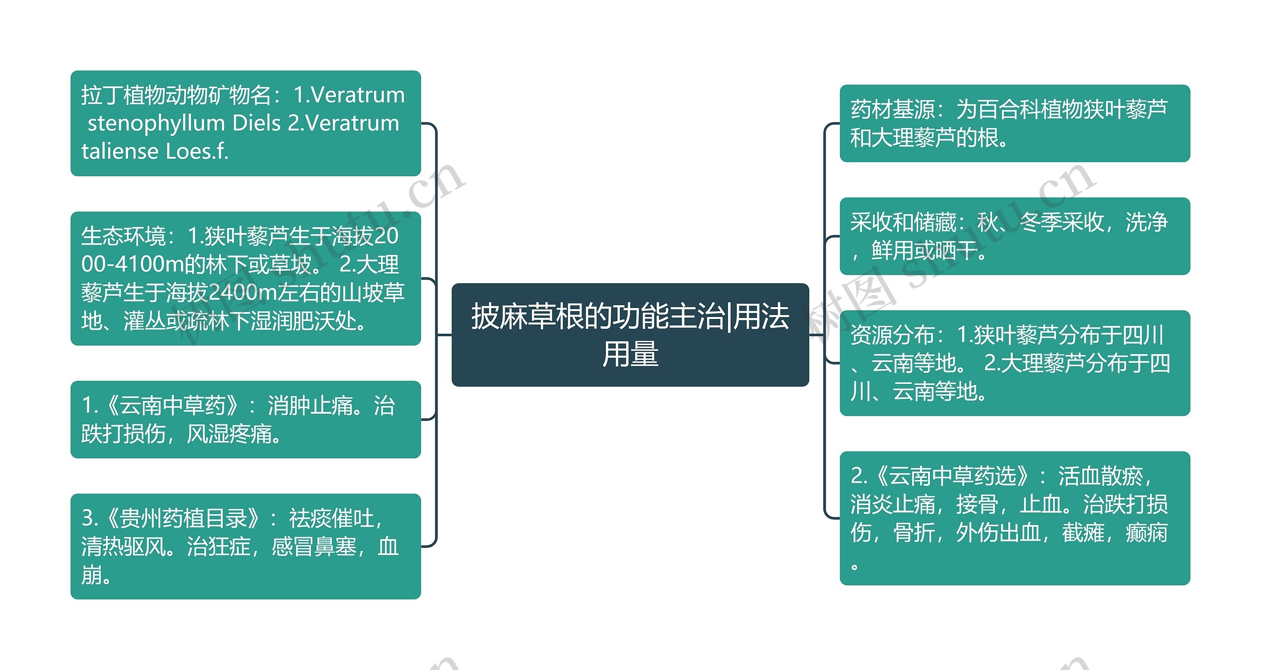 披麻草根的功能主治|用法用量