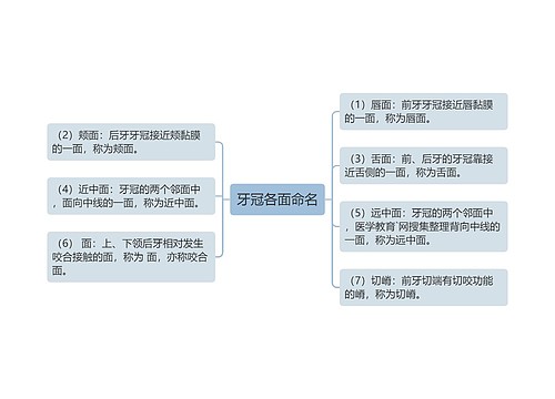 牙冠各面命名