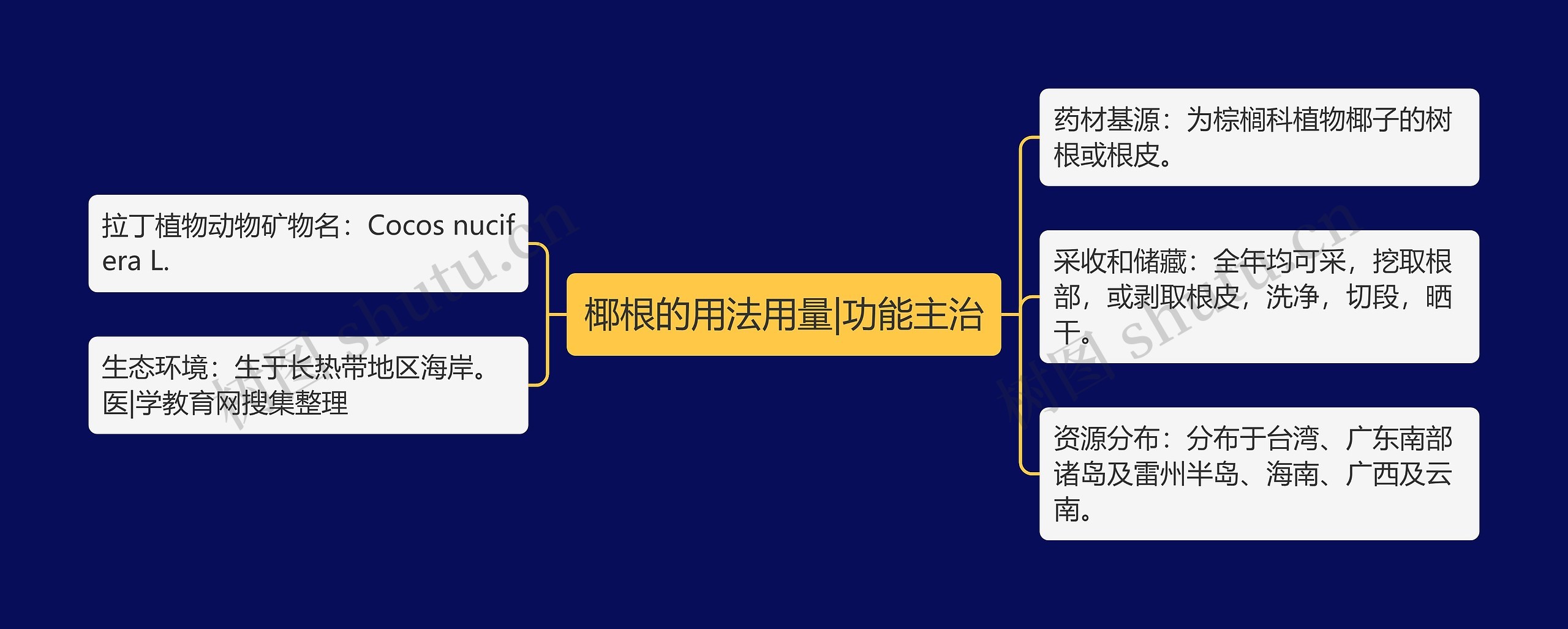 椰根的用法用量|功能主治