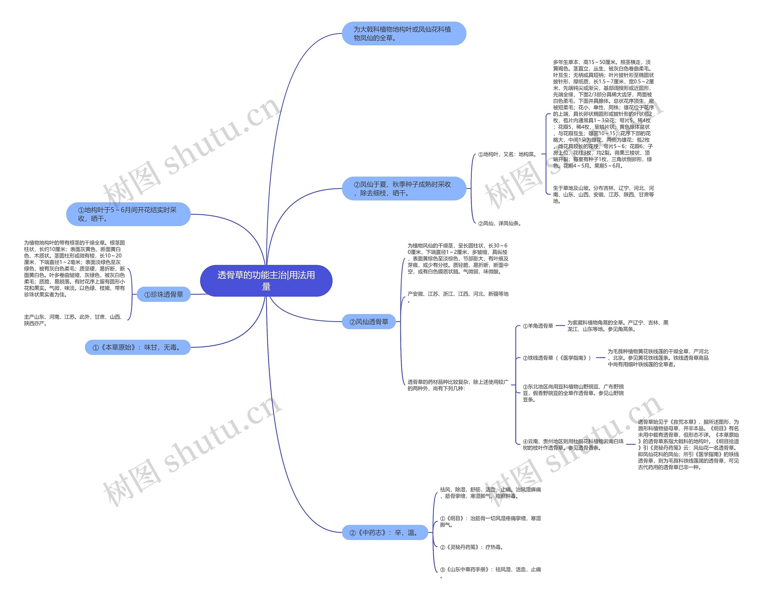透骨草的功能主治|用法用量思维导图