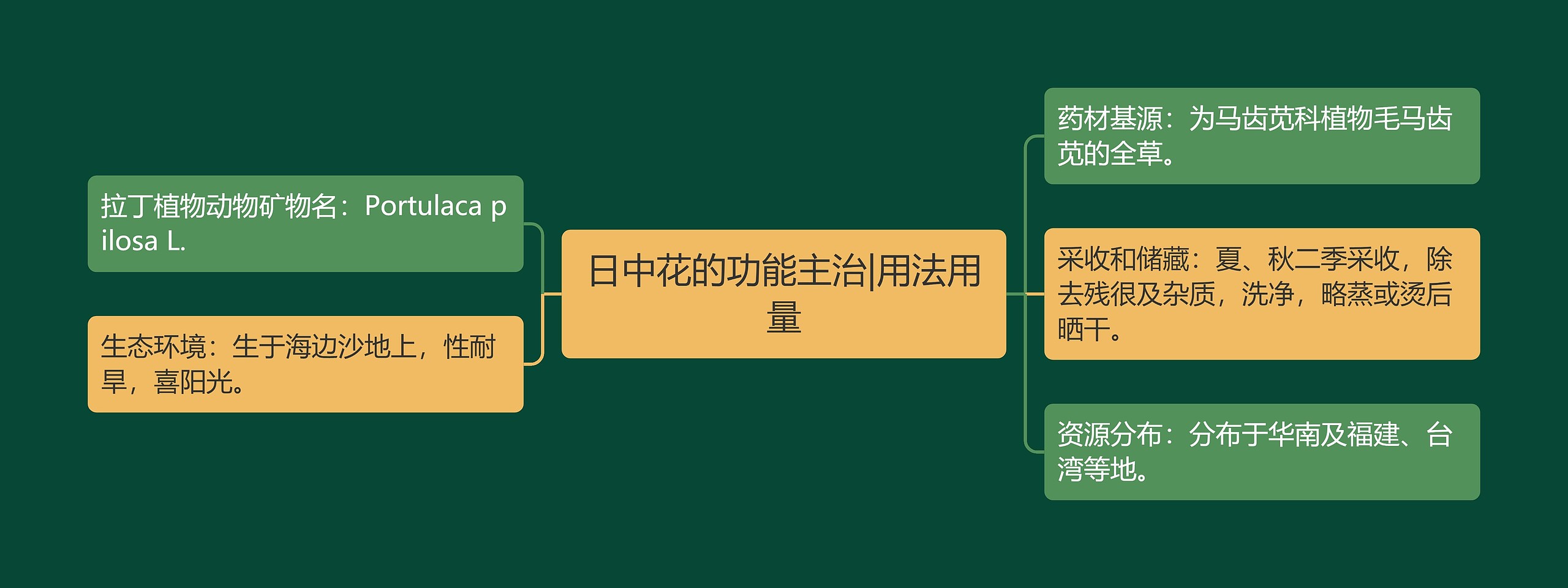 日中花的功能主治|用法用量