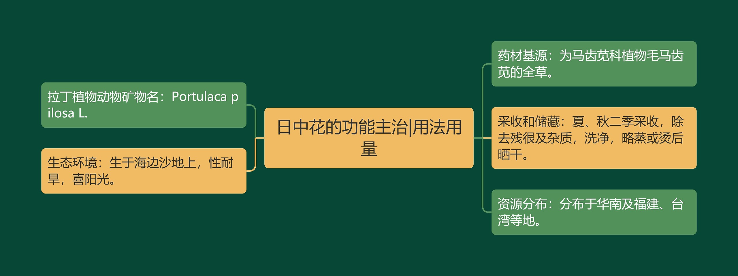 日中花的功能主治|用法用量思维导图