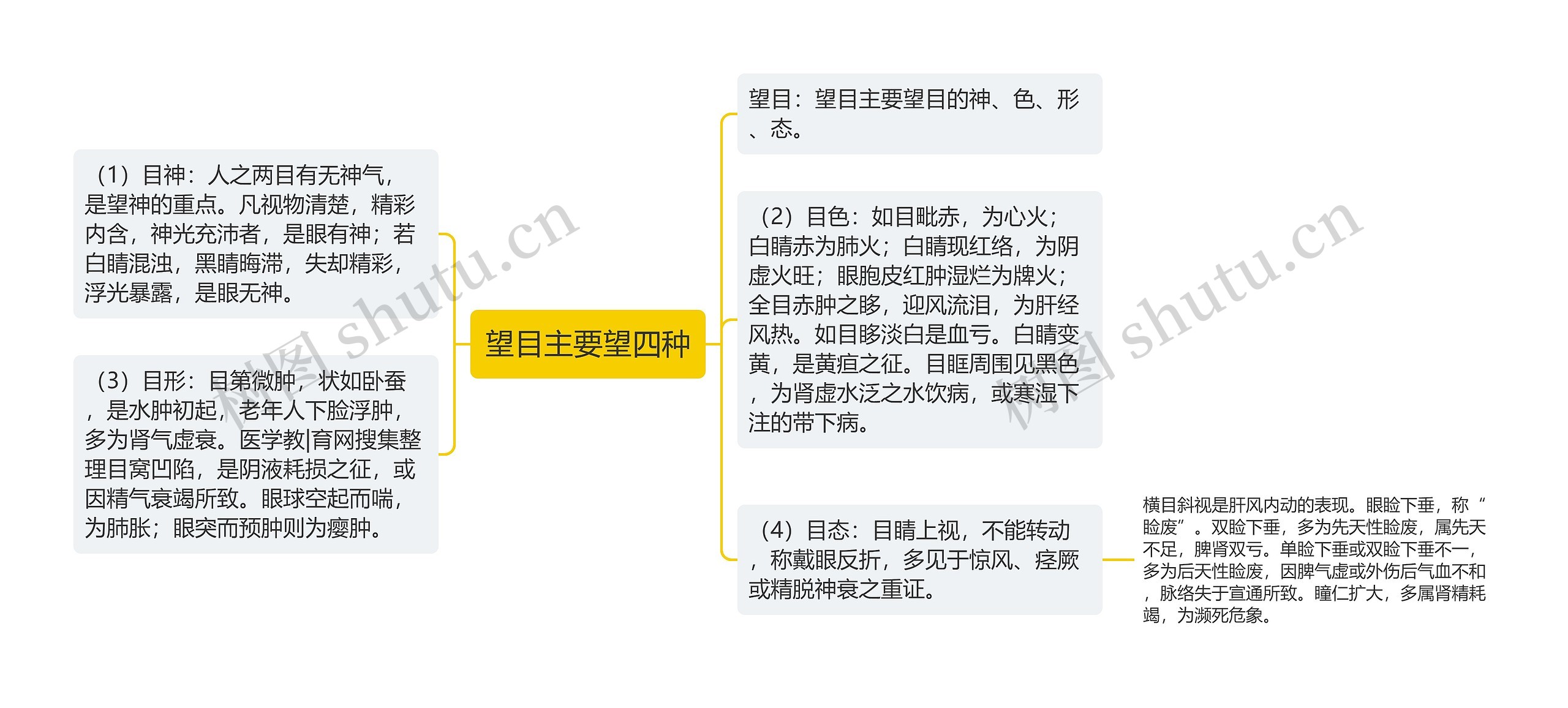 望目主要望四种思维导图