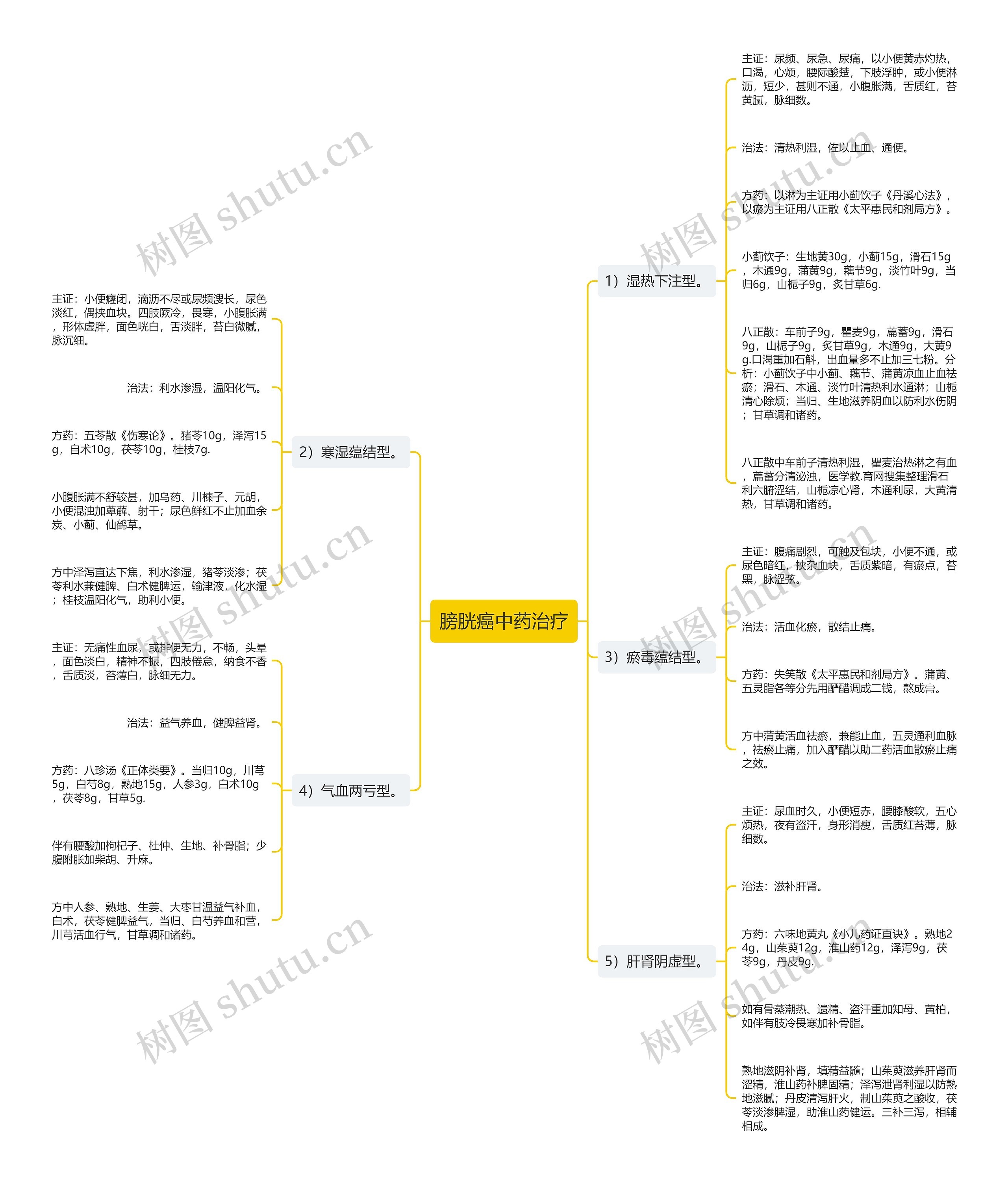 膀胱癌中药治疗思维导图