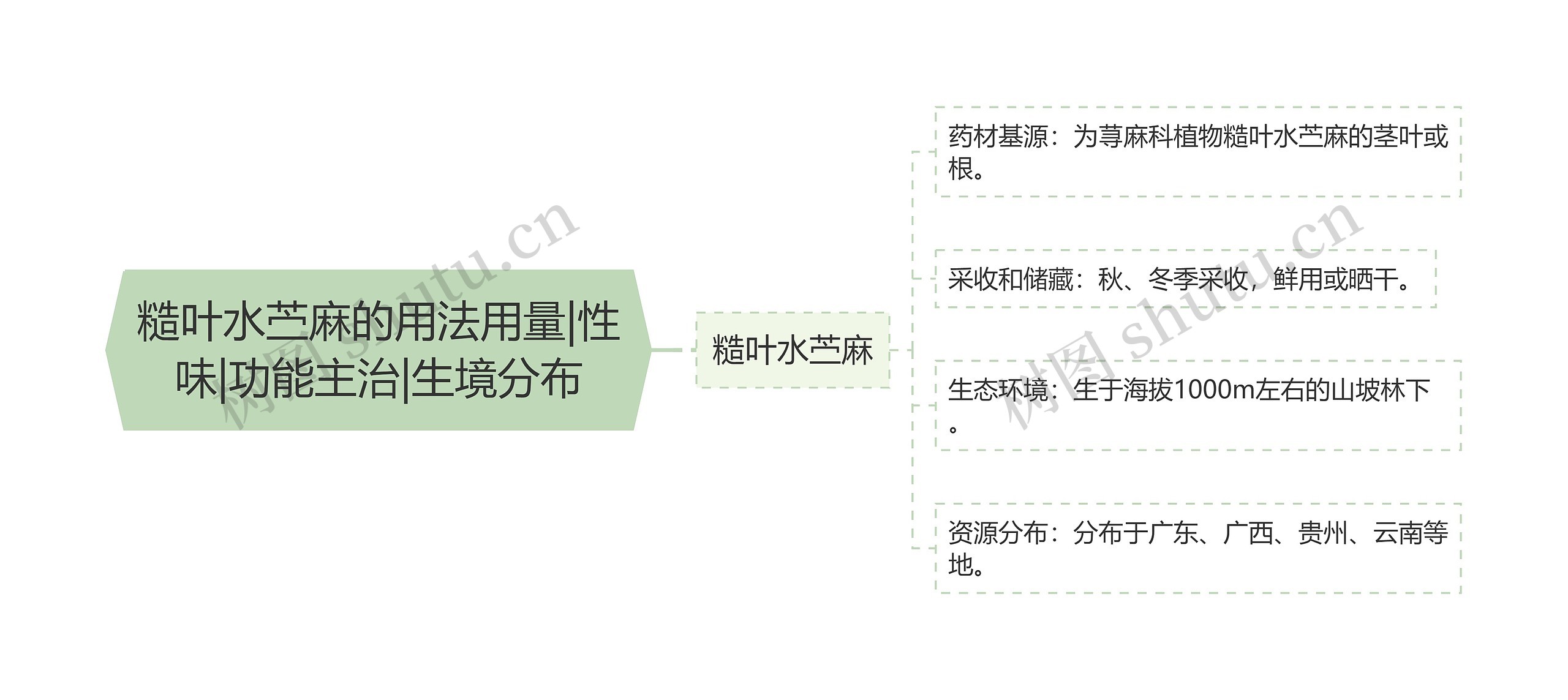 糙叶水苎麻的用法用量|性味|功能主治|生境分布思维导图