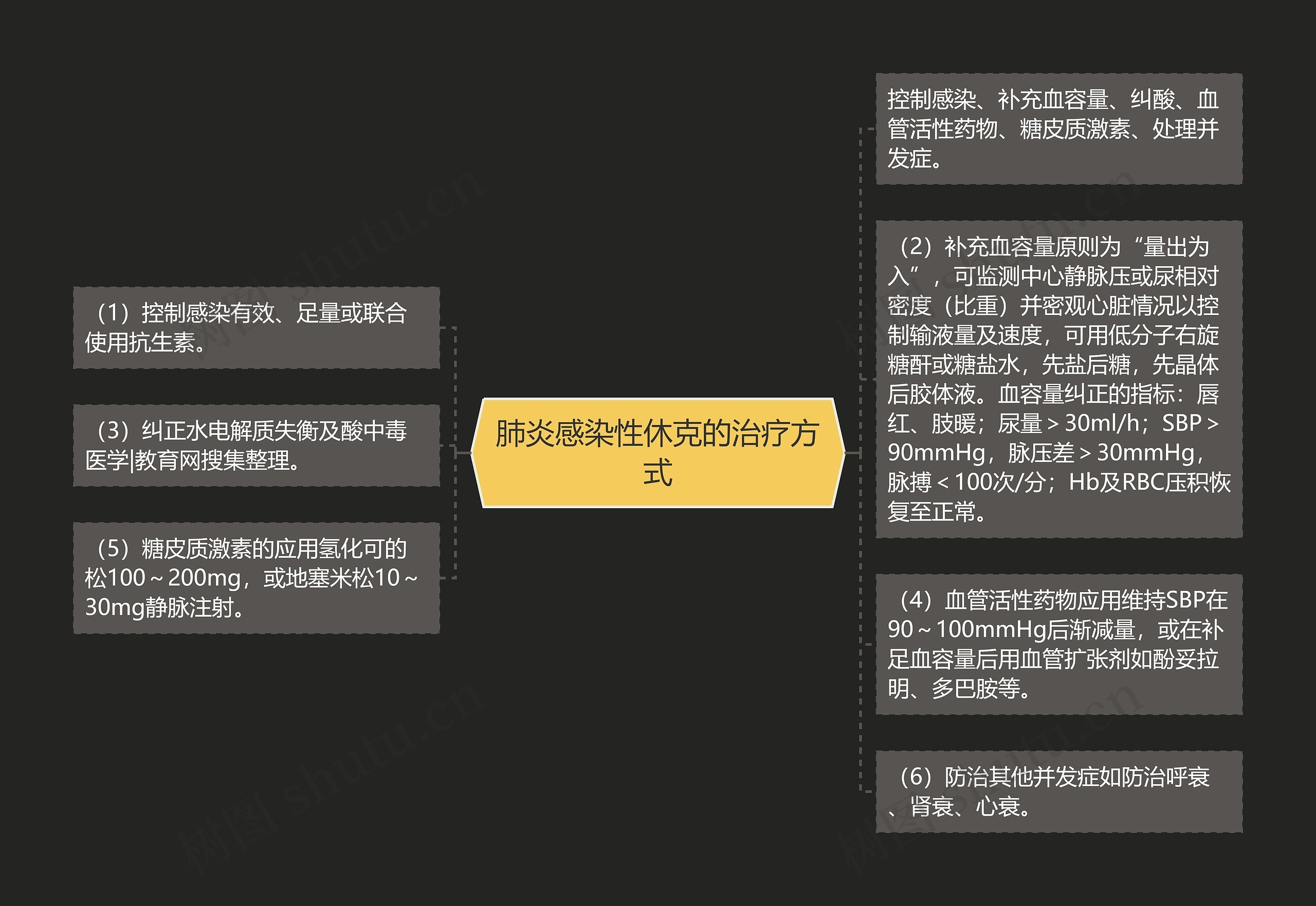 肺炎感染性休克的治疗方式思维导图