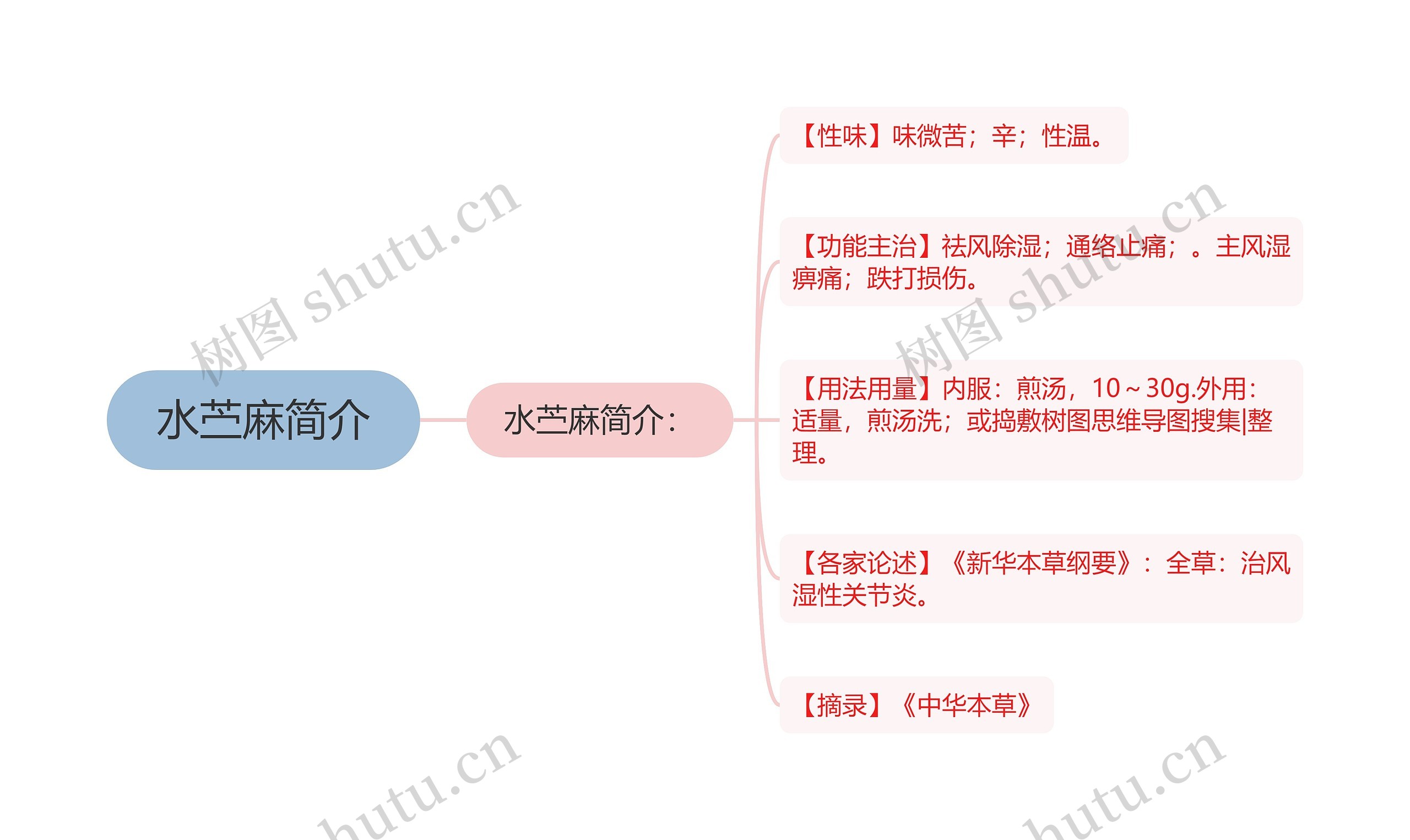 水苎麻简介