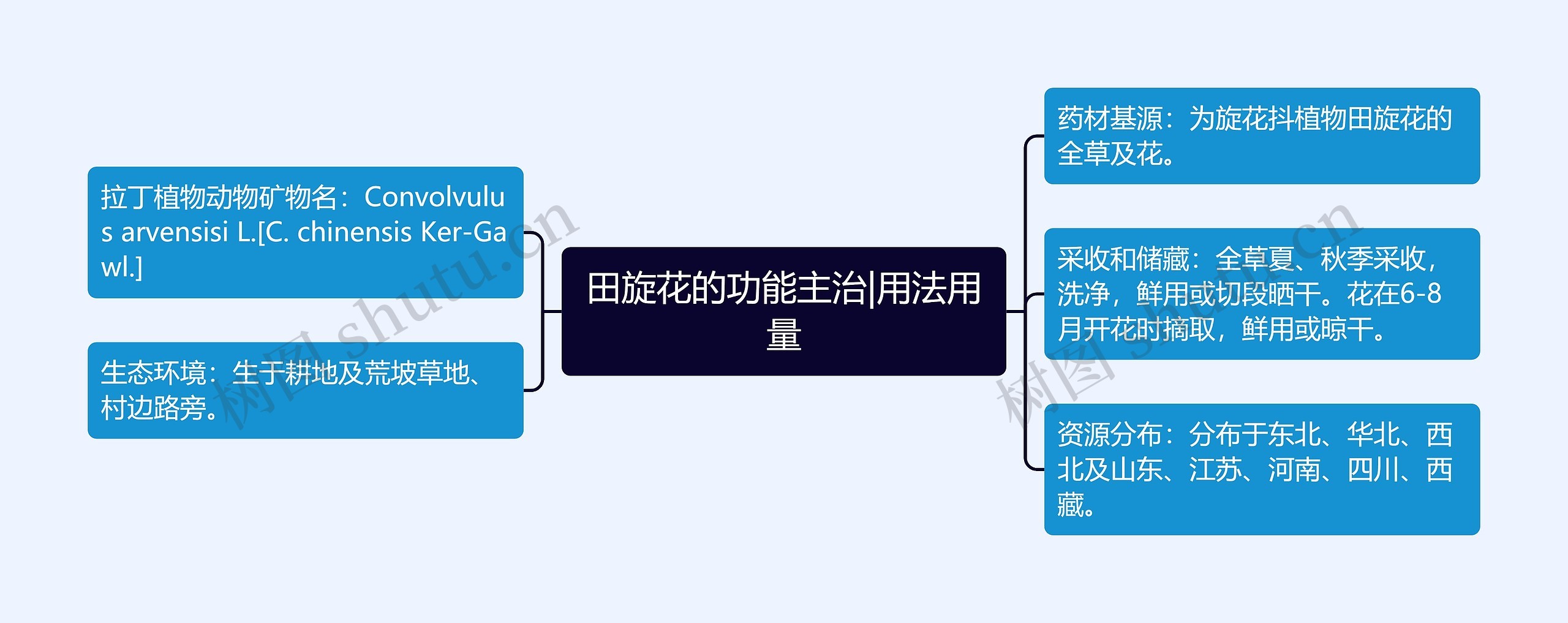 田旋花的功能主治|用法用量思维导图