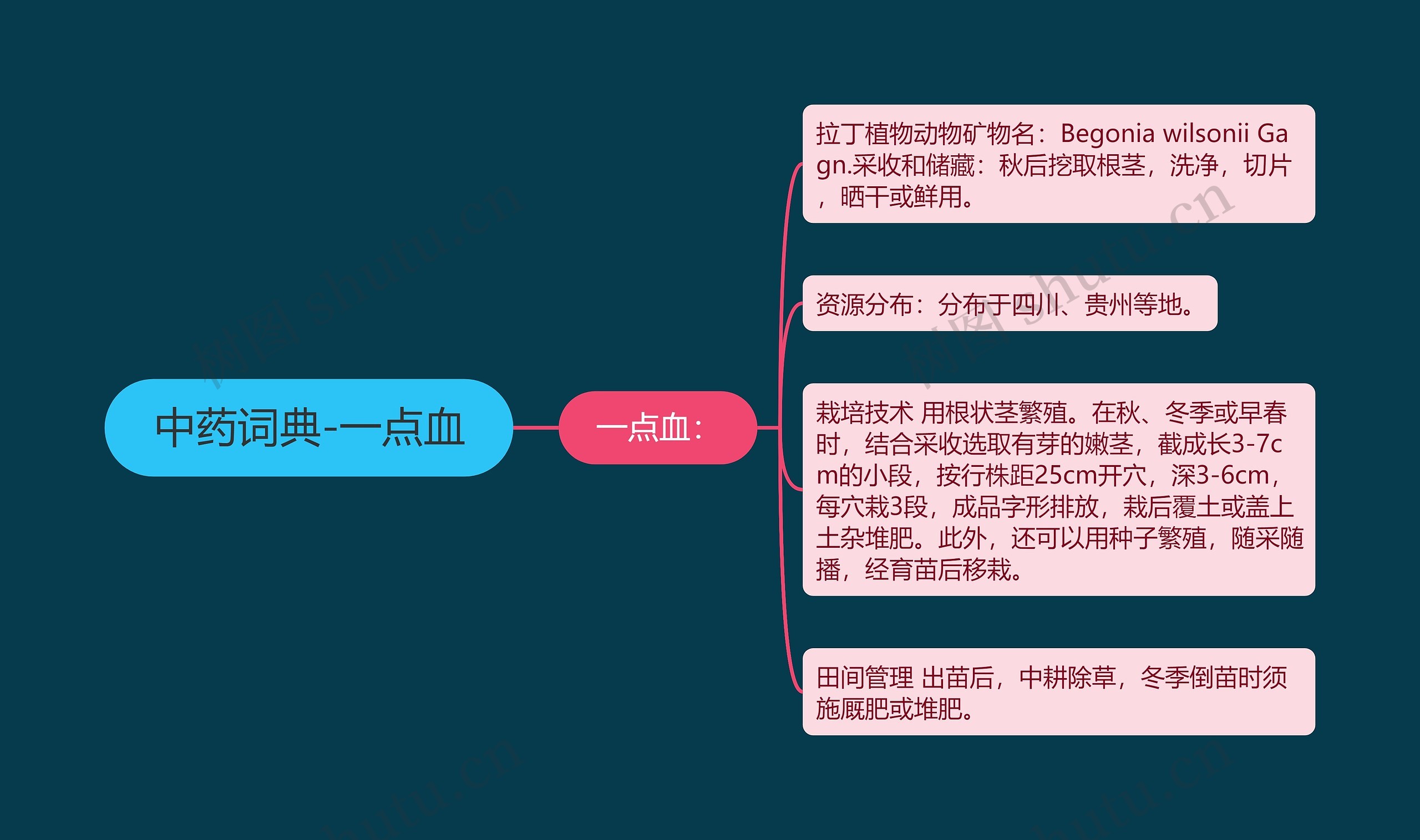 中药词典-一点血 中药词典-一点血