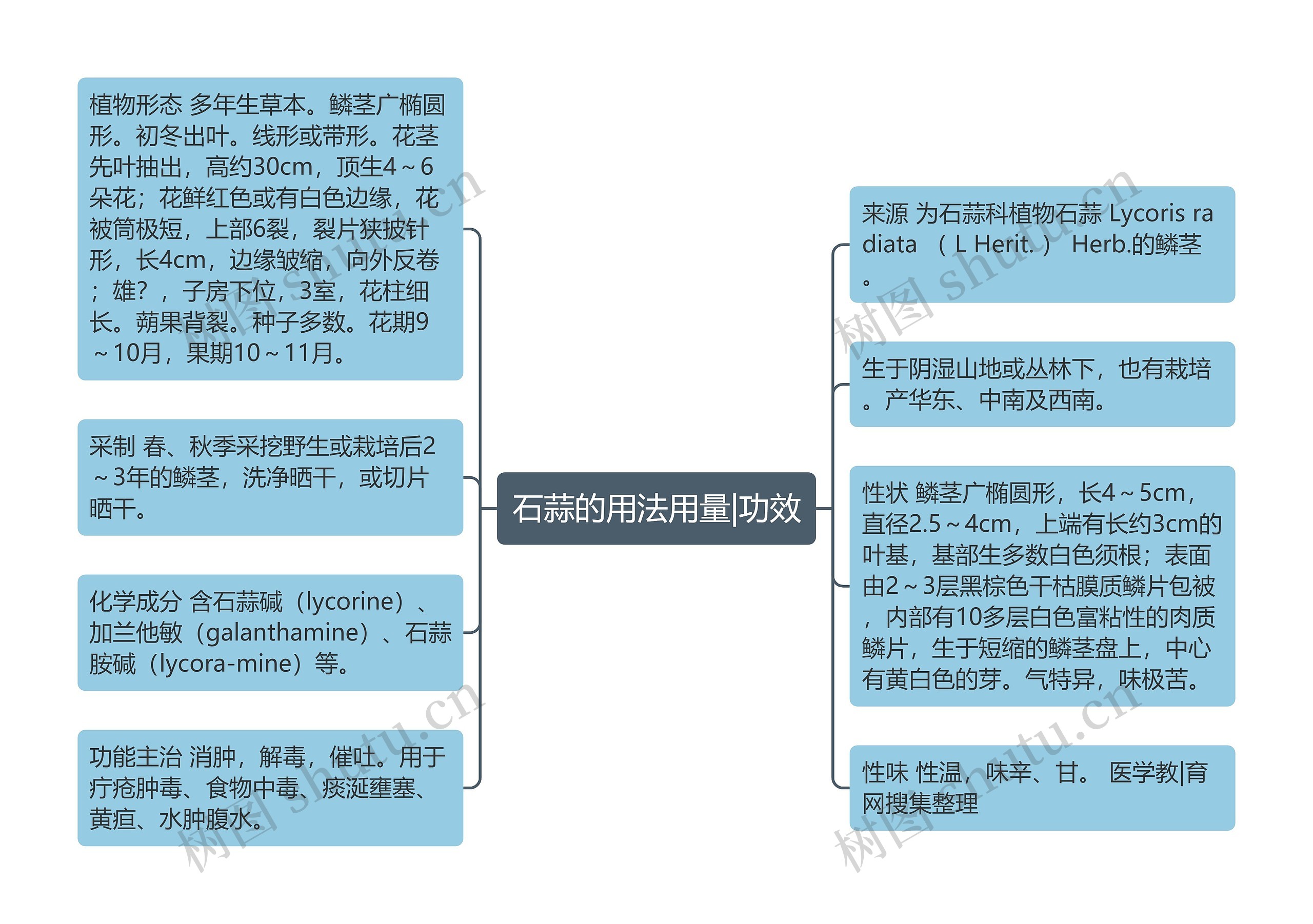 石蒜的用法用量|功效