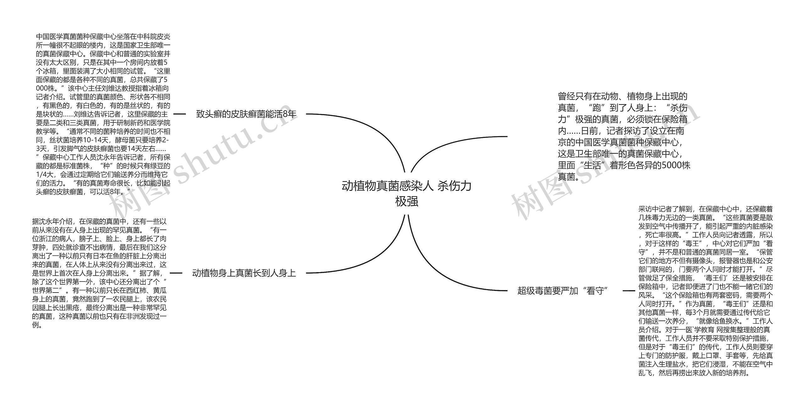 动植物真菌感染人 杀伤力极强