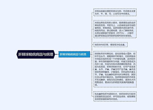 肝棘球蚴病病因与病理