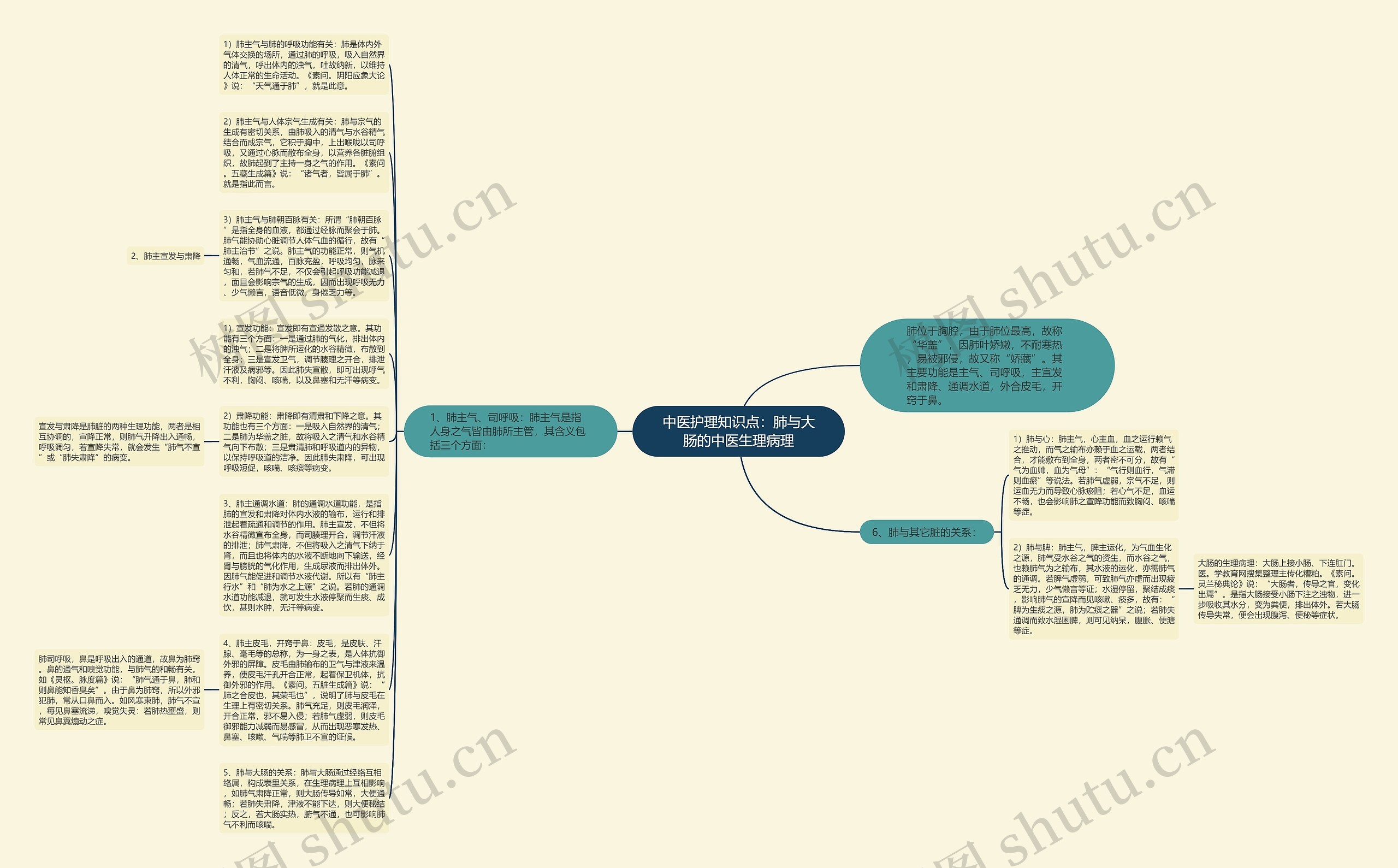 中医护理知识点：肺与大肠的中医生理病理思维导图