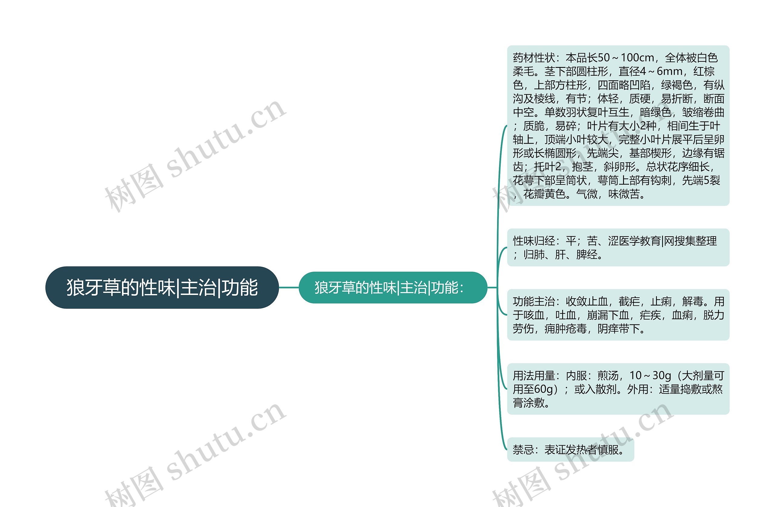 狼牙草的性味|主治|功能思维导图