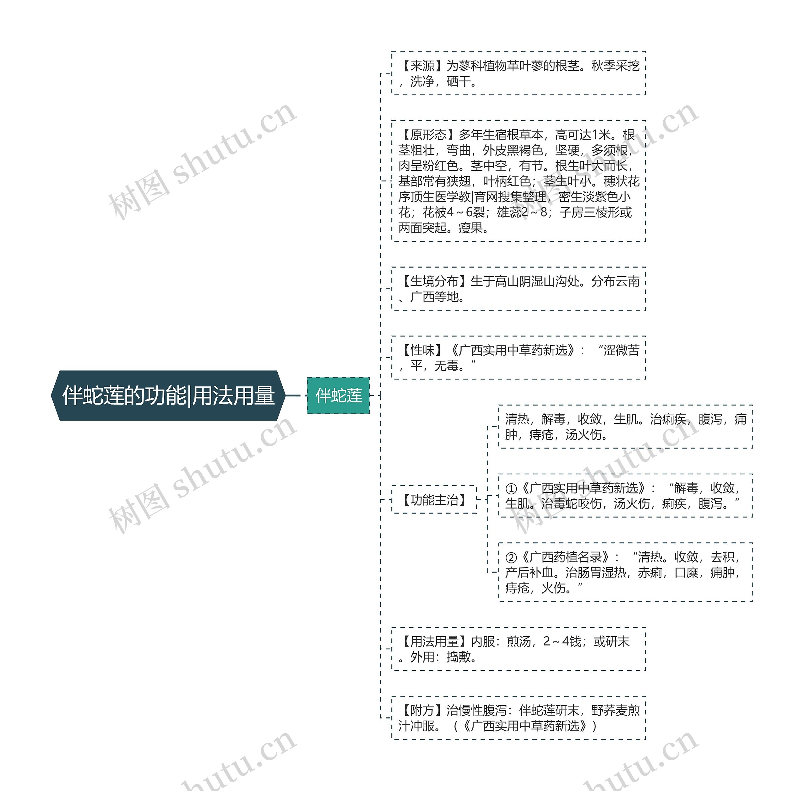 伴蛇莲的功能|用法用量