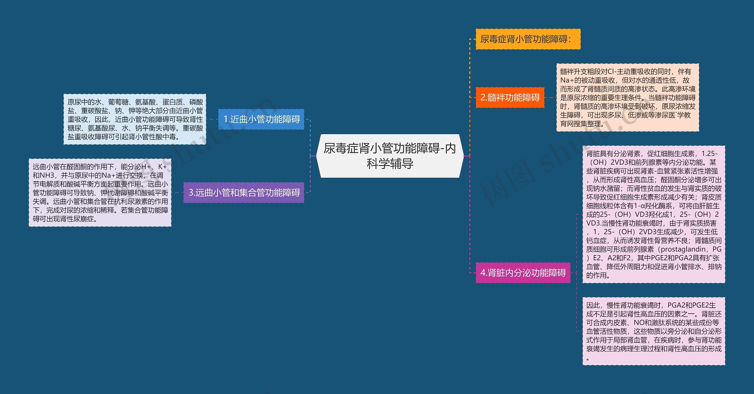 尿毒症肾小管功能障碍-内科学辅导思维导图