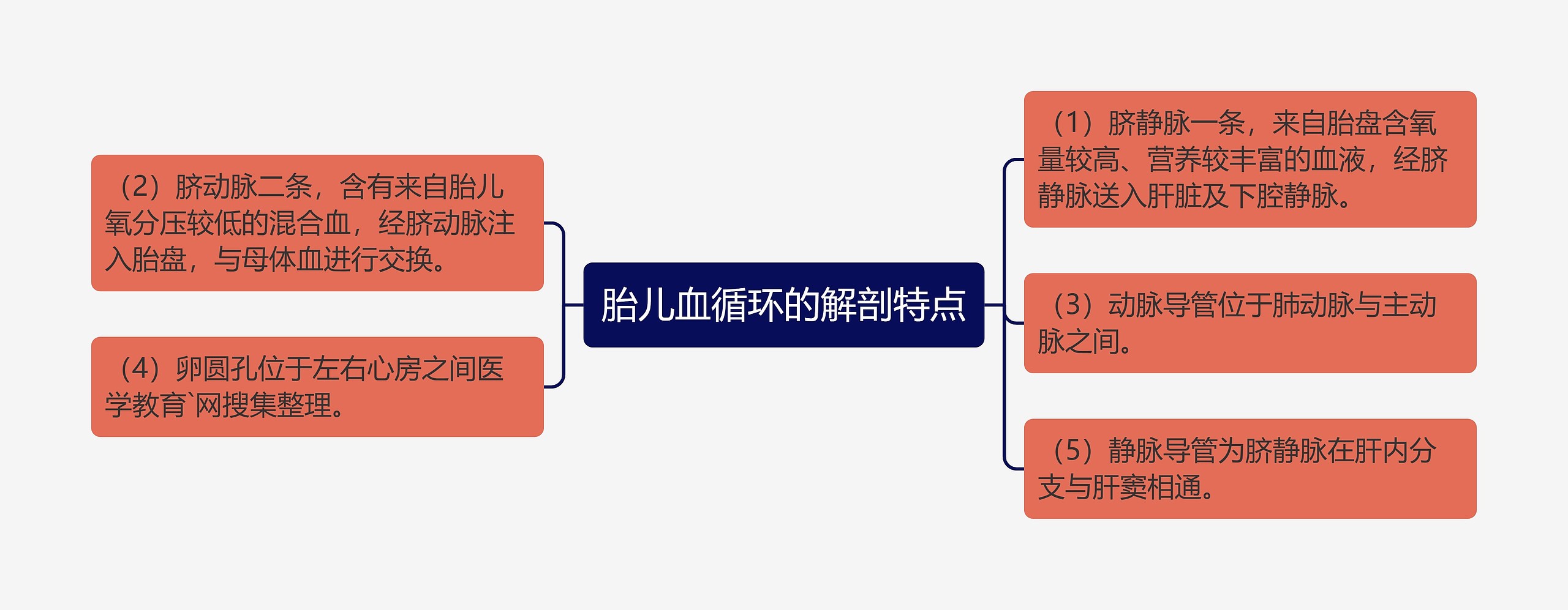 胎儿血循环的解剖特点思维导图