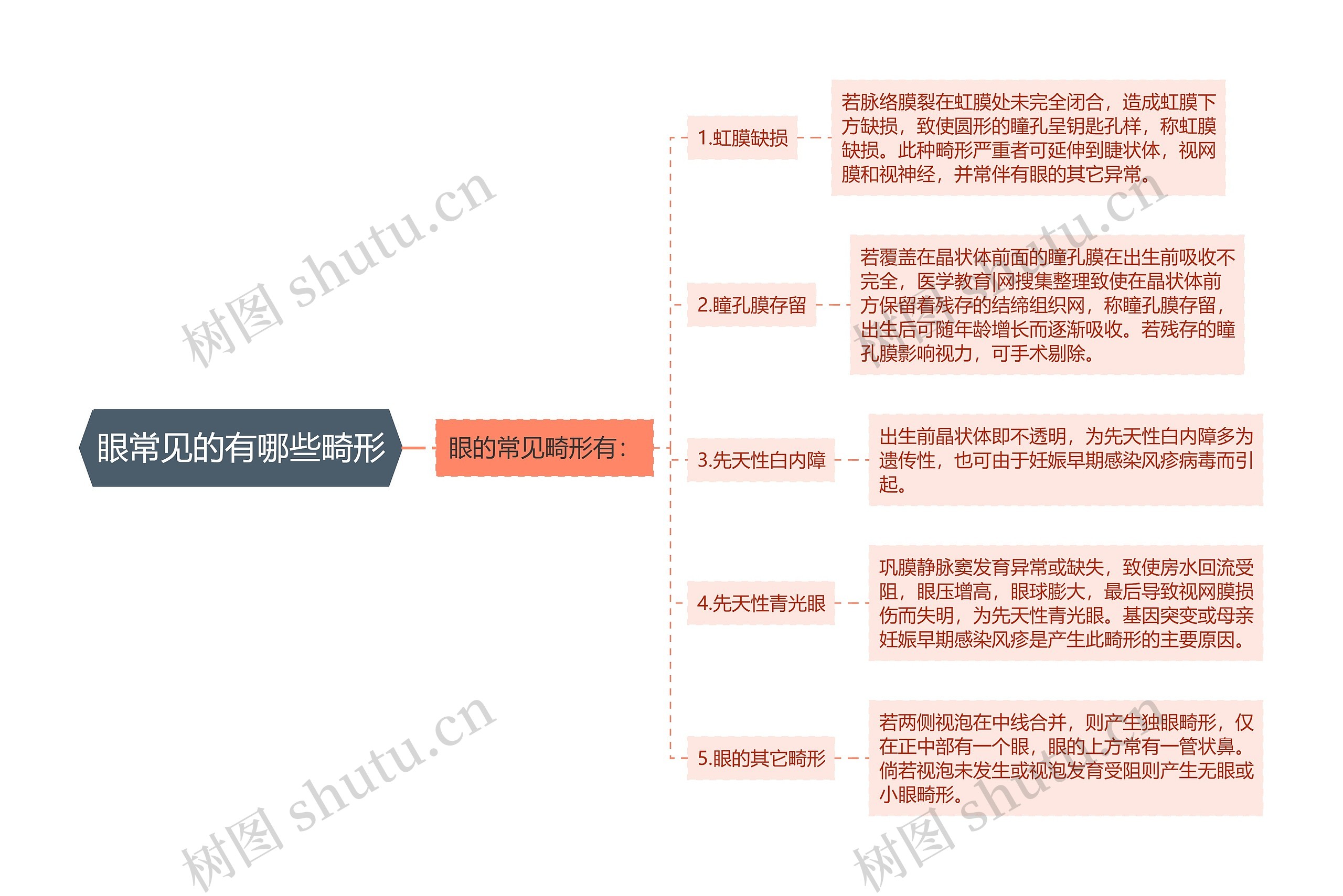 眼常见的有哪些畸形