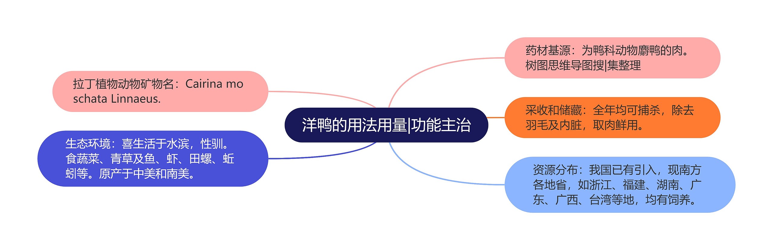 洋鸭的用法用量|功能主治 洋鸭的用法用量|功能主治