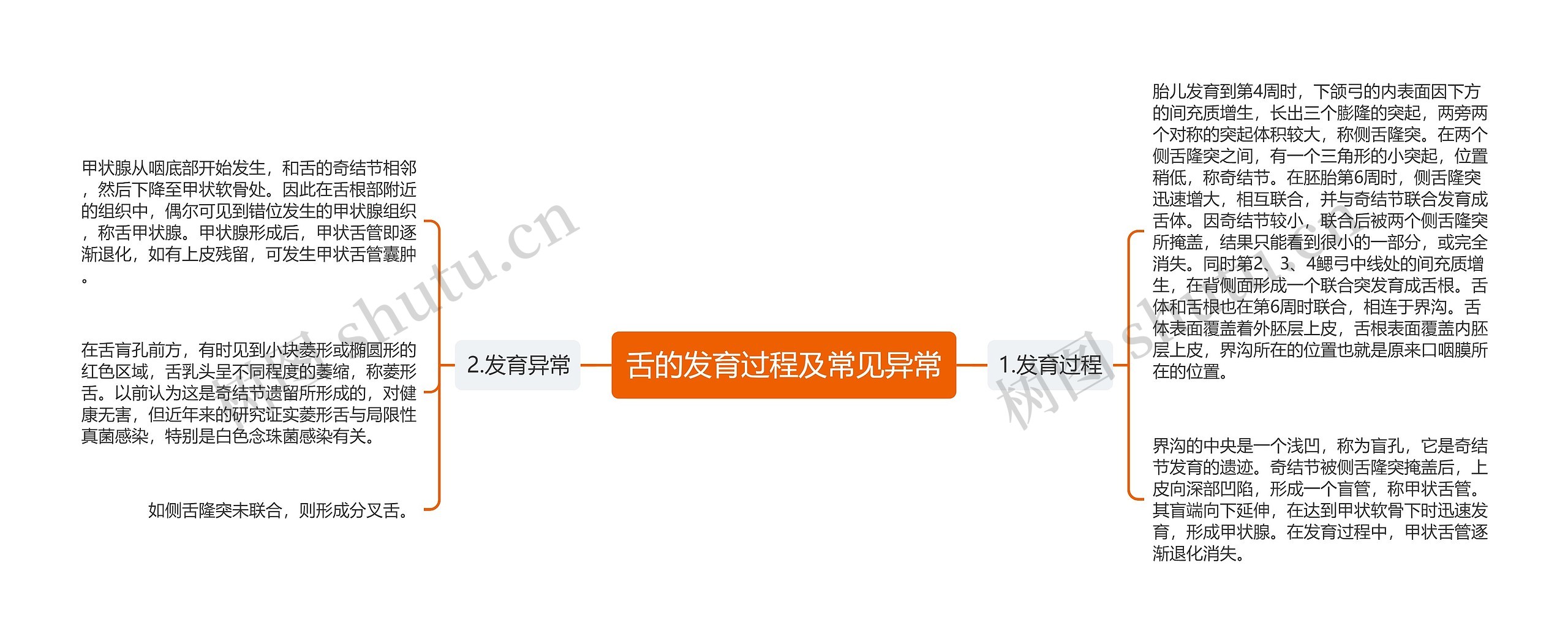 舌的发育过程及常见异常 舌的发育过程及常见异常