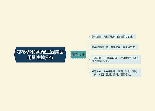 穗花杉叶的功能主治|用法用量|生境分布