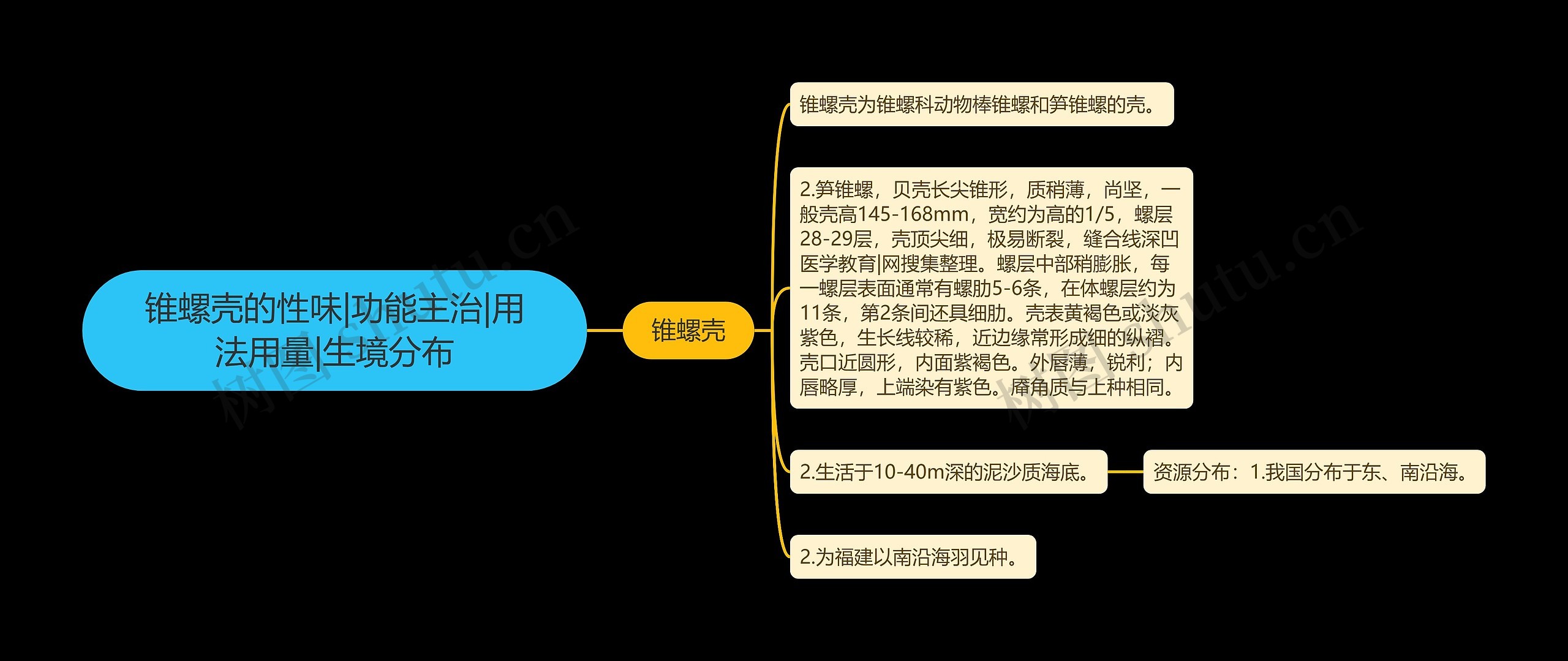 锥螺壳的性味|功能主治|用法用量|生境分布思维导图