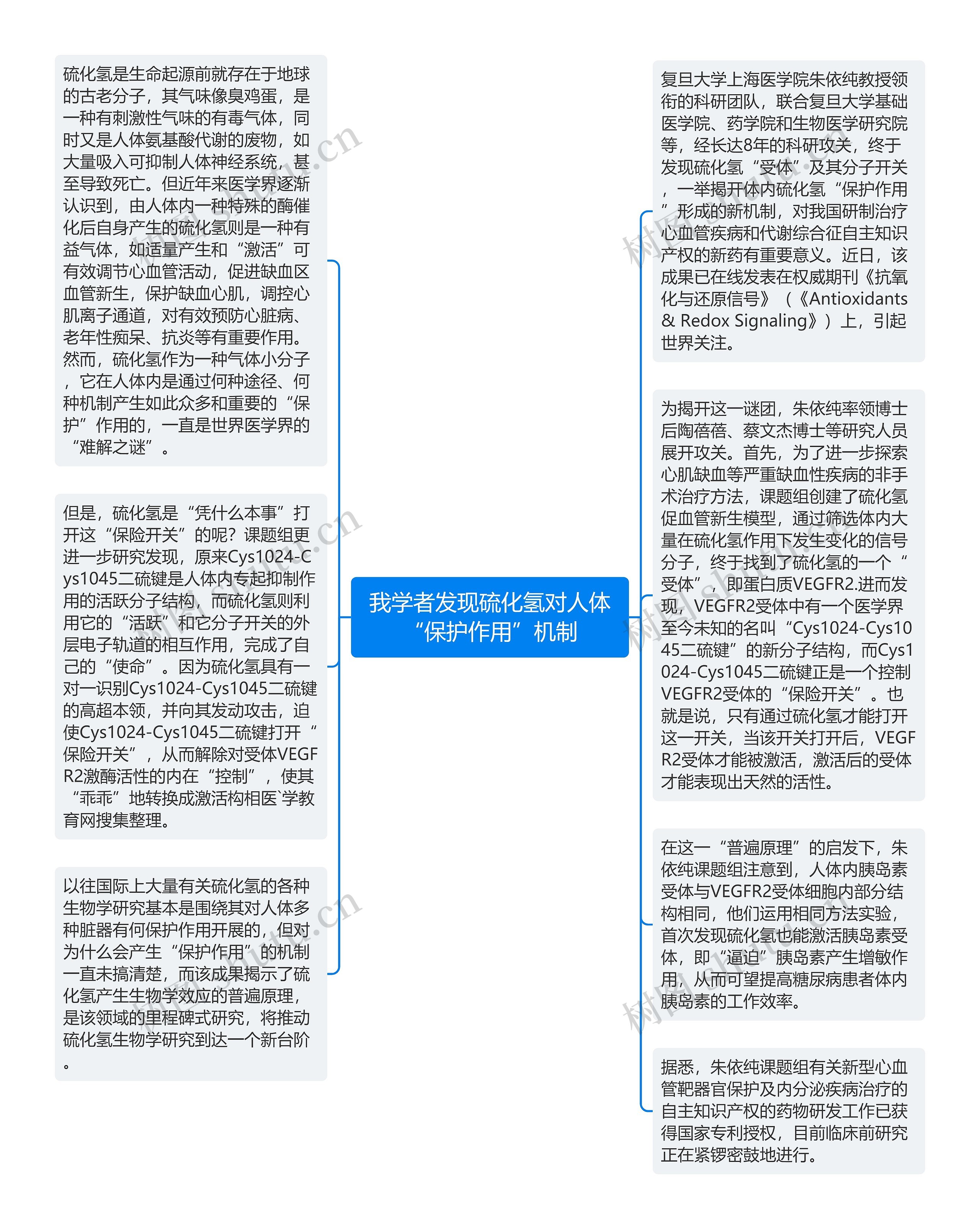 我学者发现硫化氢对人体“保护作用”机制