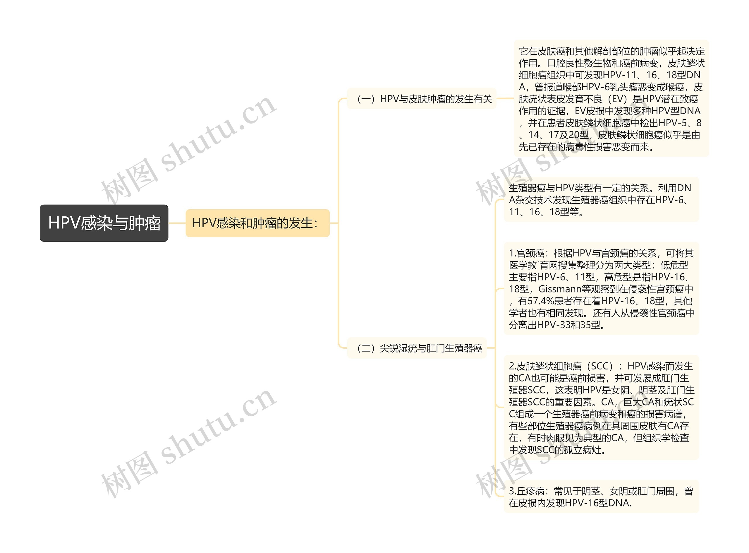 HPV感染与肿瘤思维导图