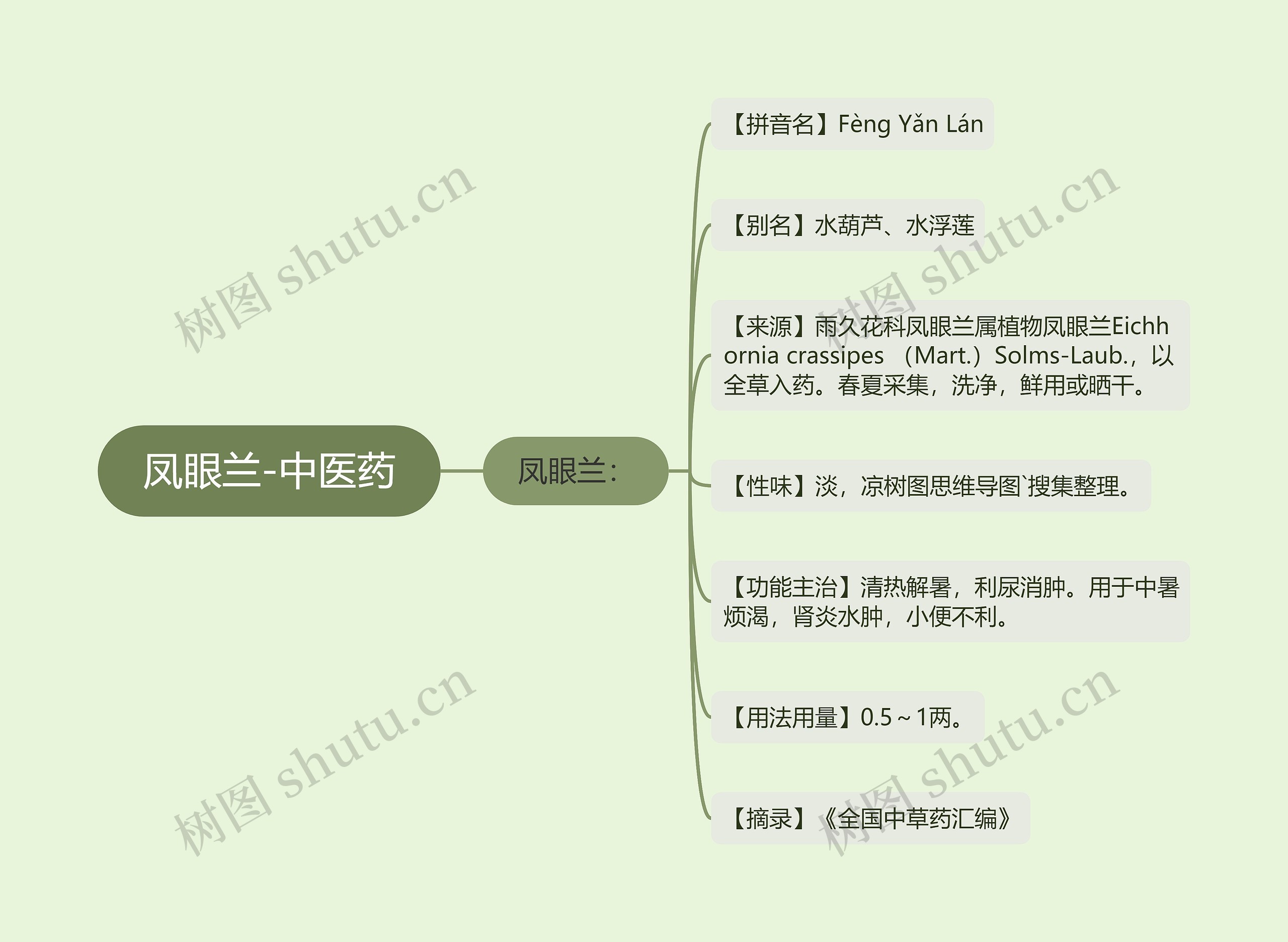 凤眼兰-中医药思维导图