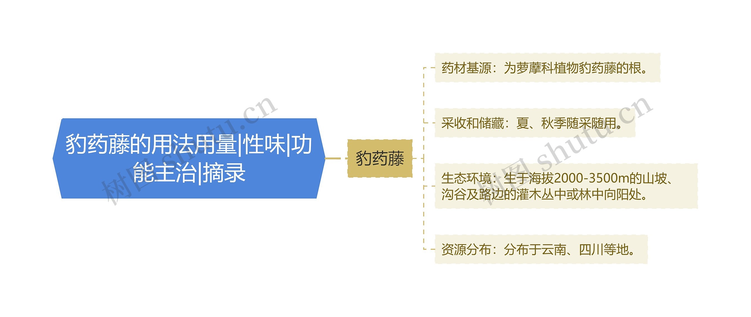 豹药藤的用法用量|性味|功能主治|摘录思维导图