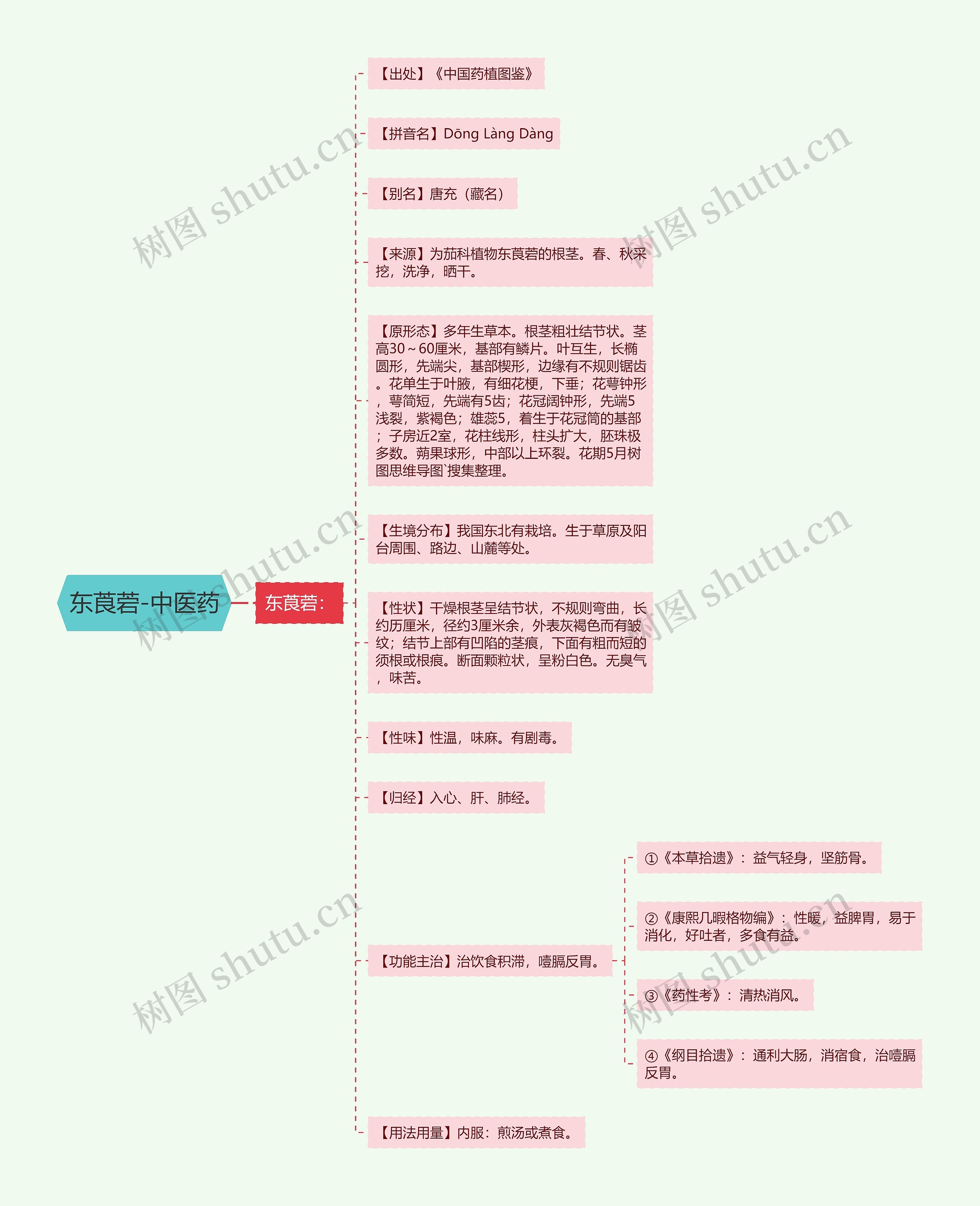 东莨菪-中医药思维导图